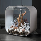 Seahorses on Coral Sculpture, medium - Natural In use