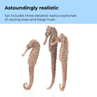 Seahorse Set - Astoundingly realistic