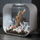 Seahorse Set - Black In use