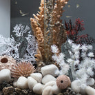 Seahorse Set - Black In use