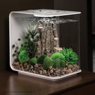 Bonsai Ball - Black In use
