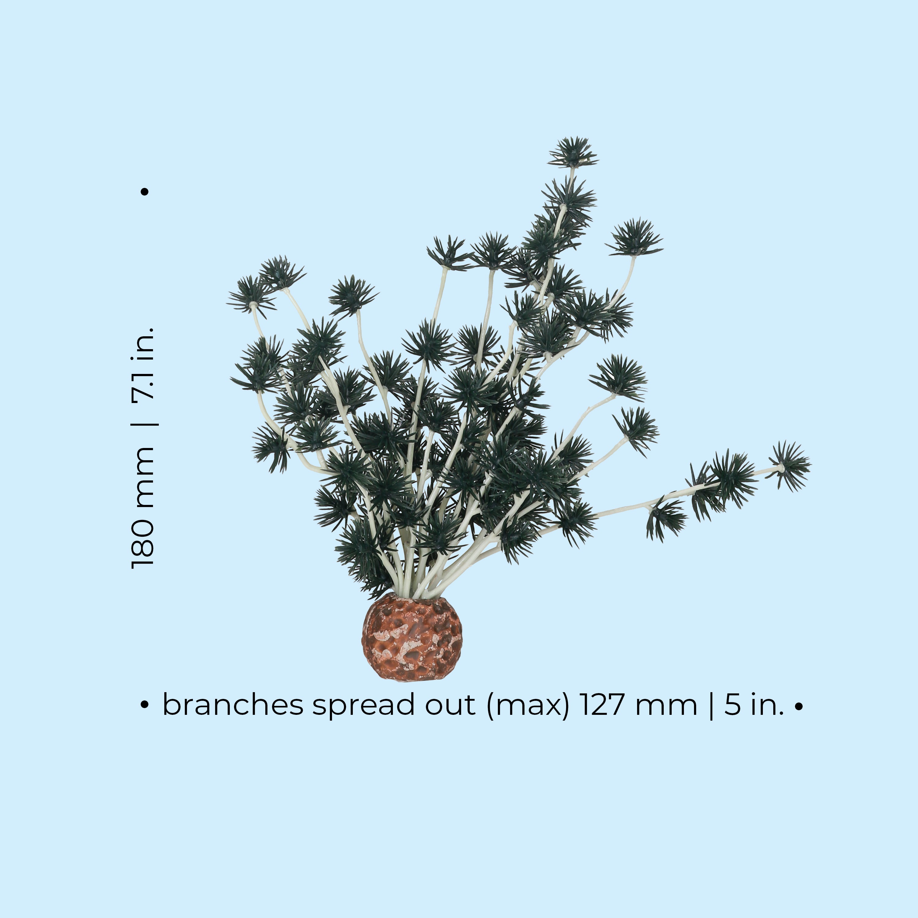 Bonsai Ball - Dimensions