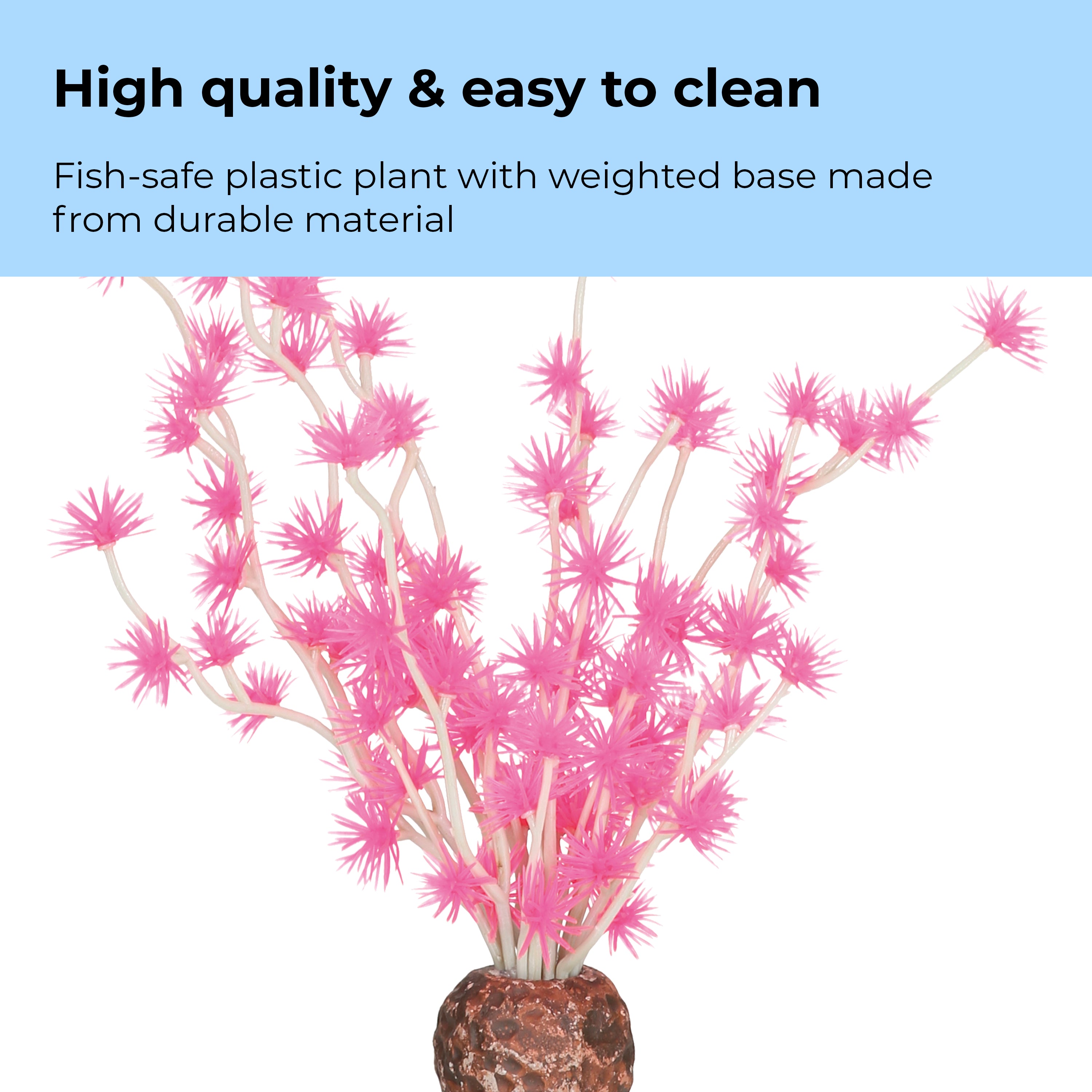 Bonsai Ball - High quality & easy to clean