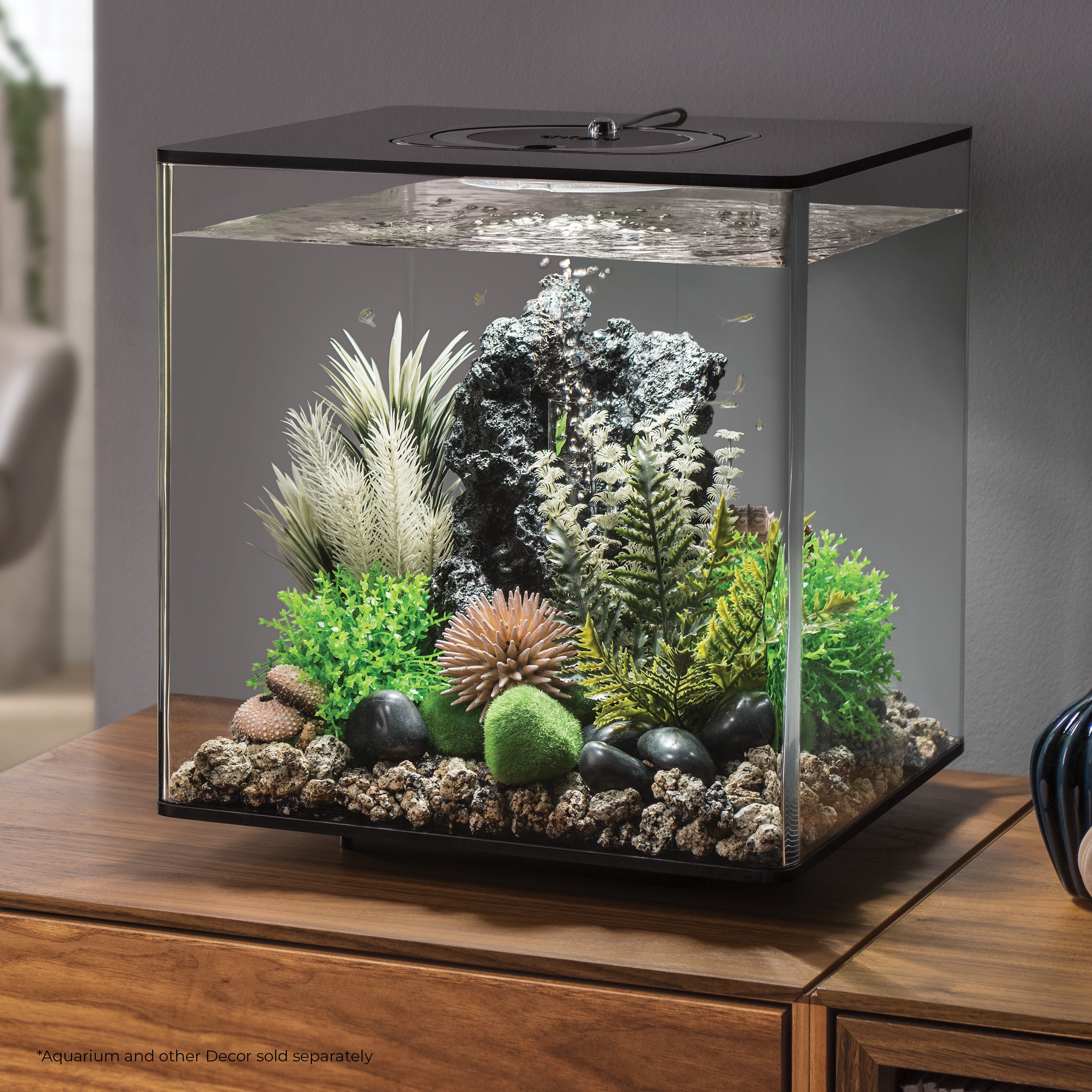 Grey-Green Ambulia Plant Set, small - In use