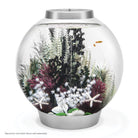 Grey-Green Ambulia Plant Set, medium - In use