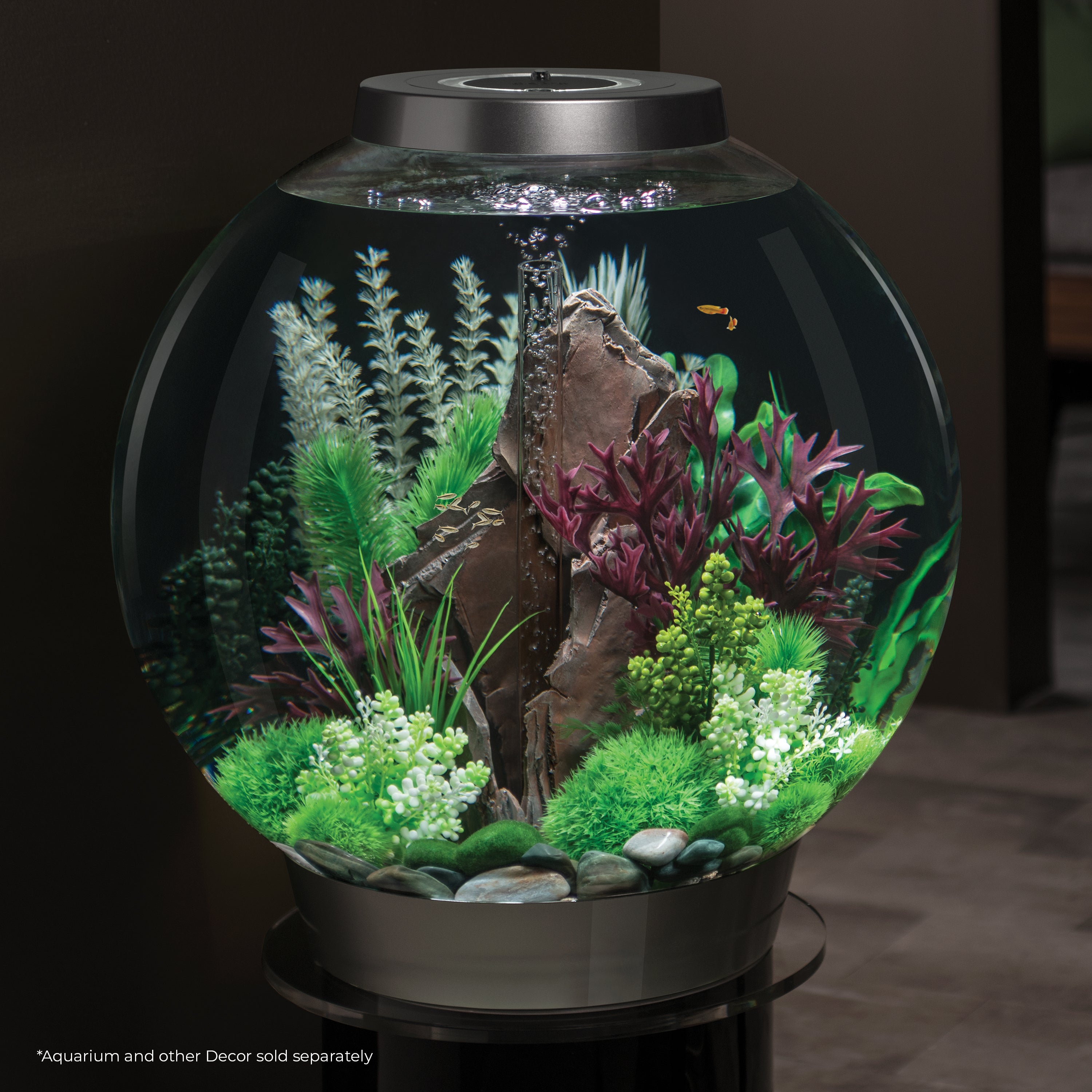 Grey-Green Ambulia Plant Set, large - In use