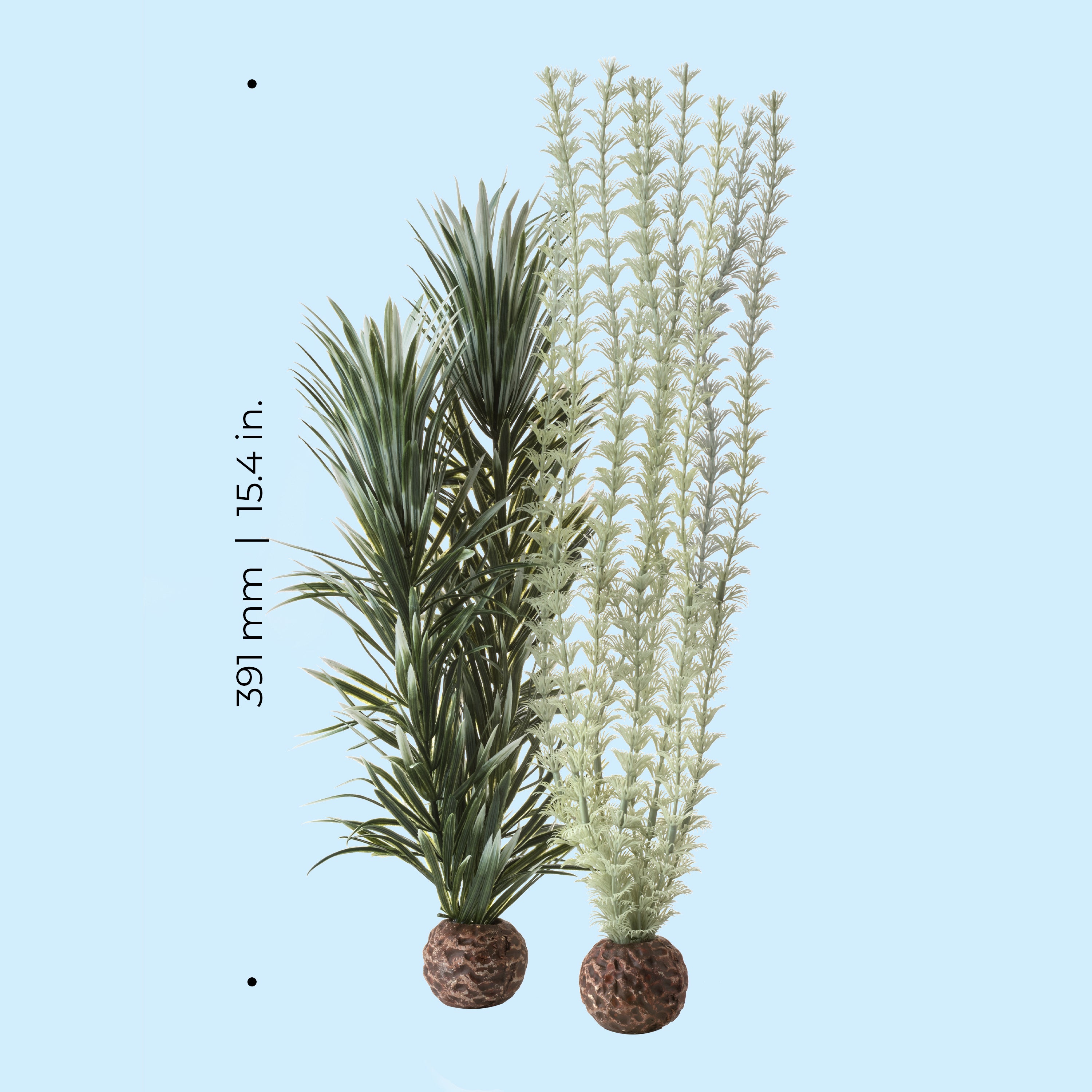 Grey-Green Ambulia Plant Set, large - Dimensions