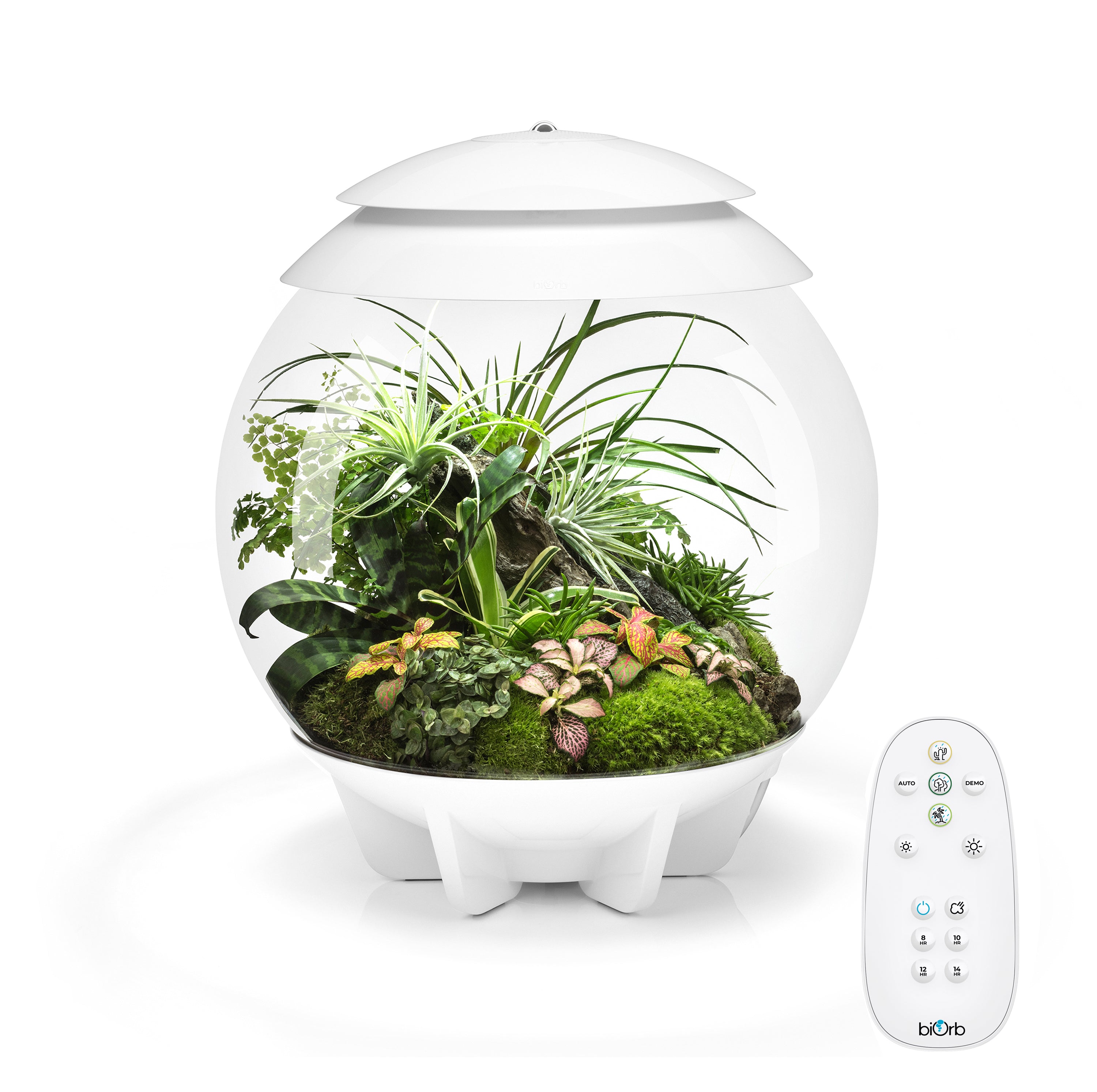 AIR 30 Terrarium White