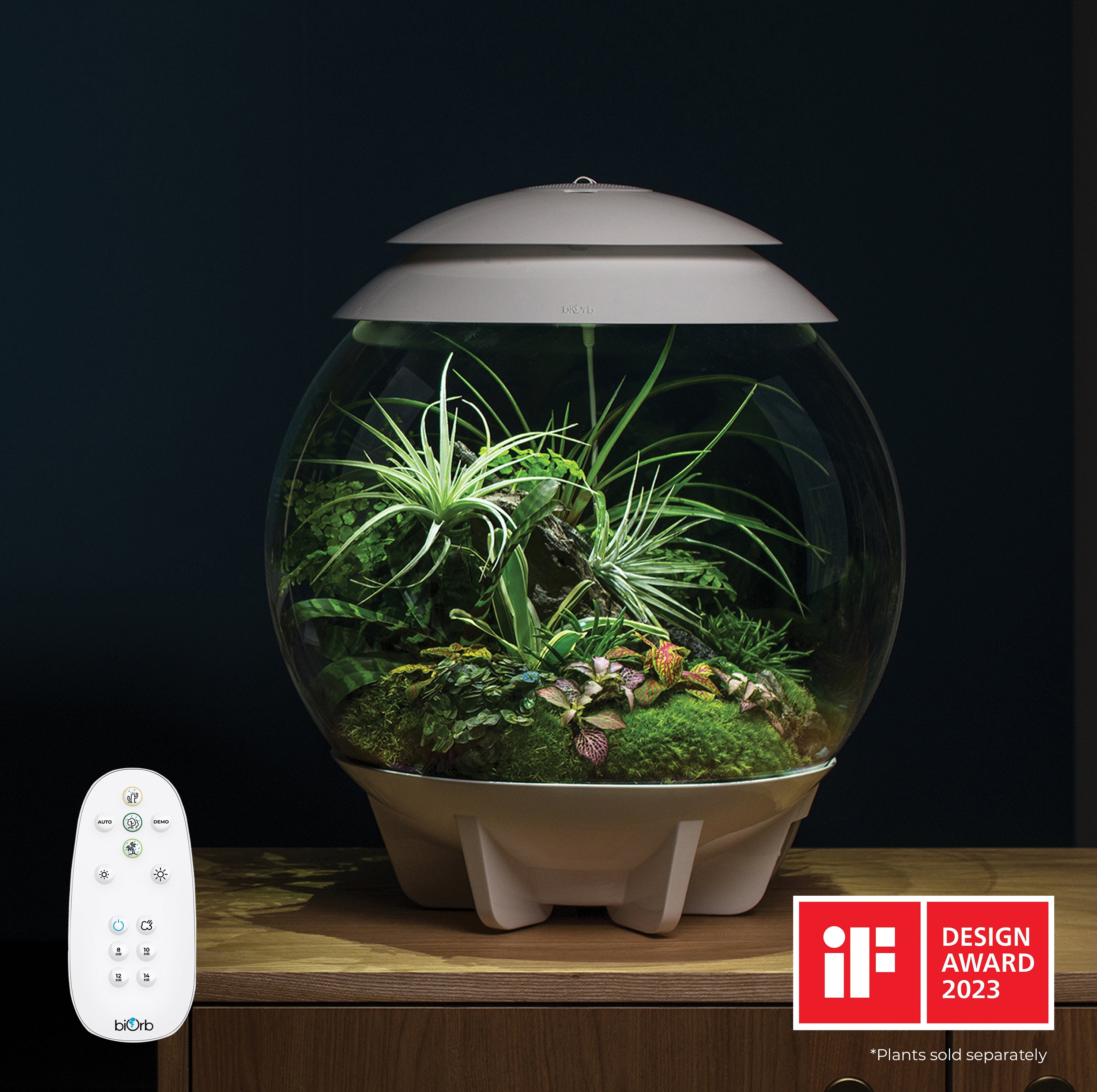 AIR 30 Terrarium white in use