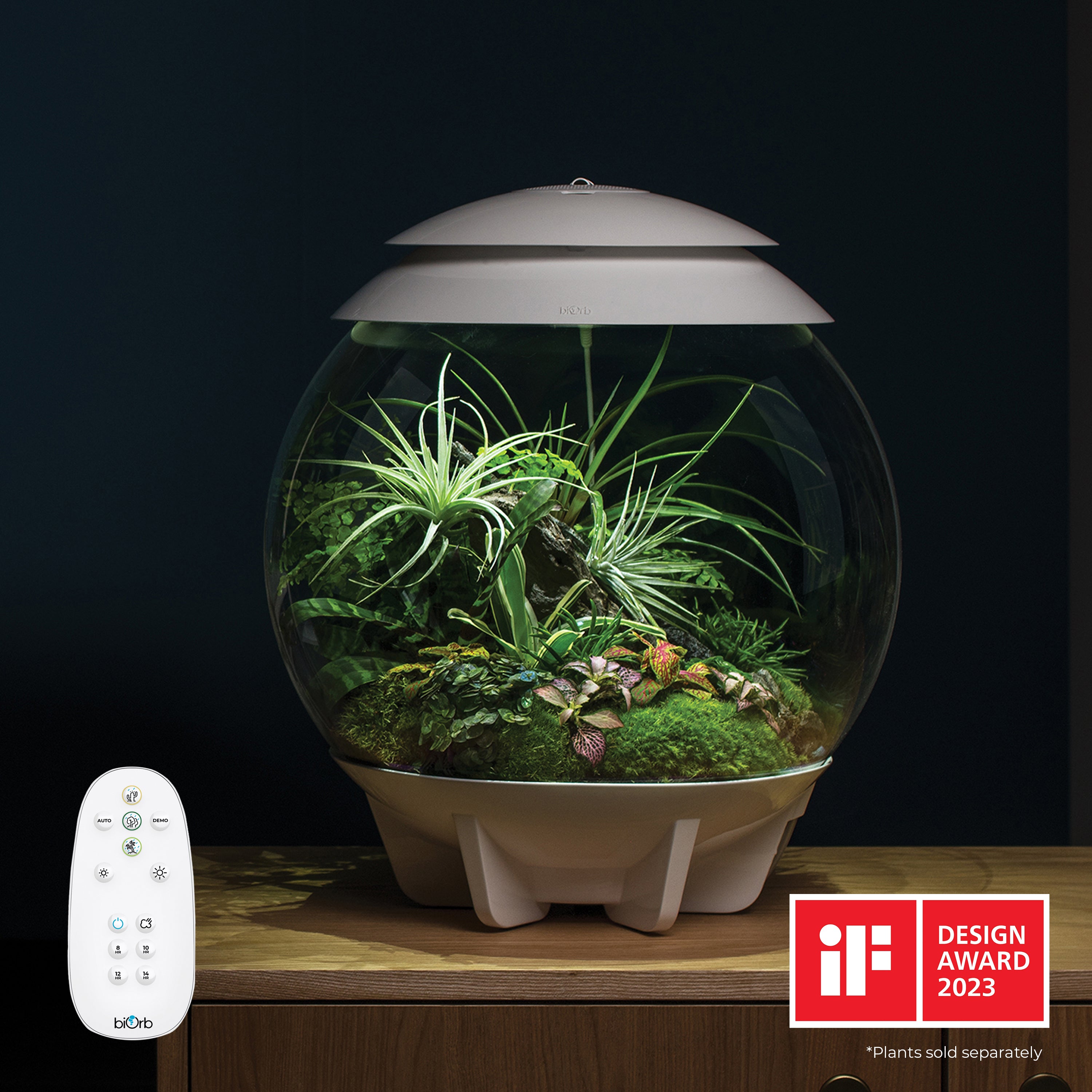 AIR 30 Terrarium white in use