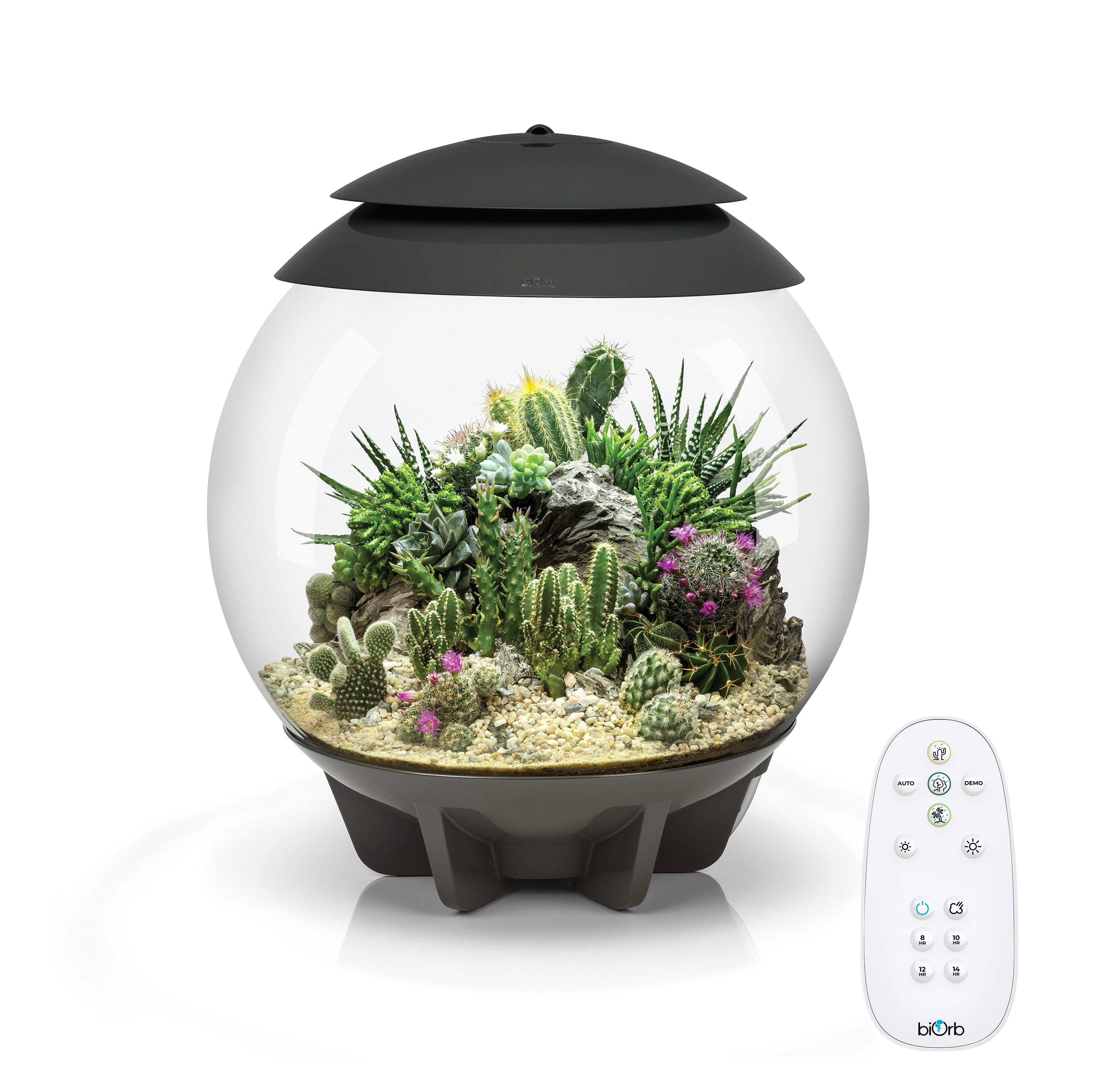 AIR 30 Terrarium Grey