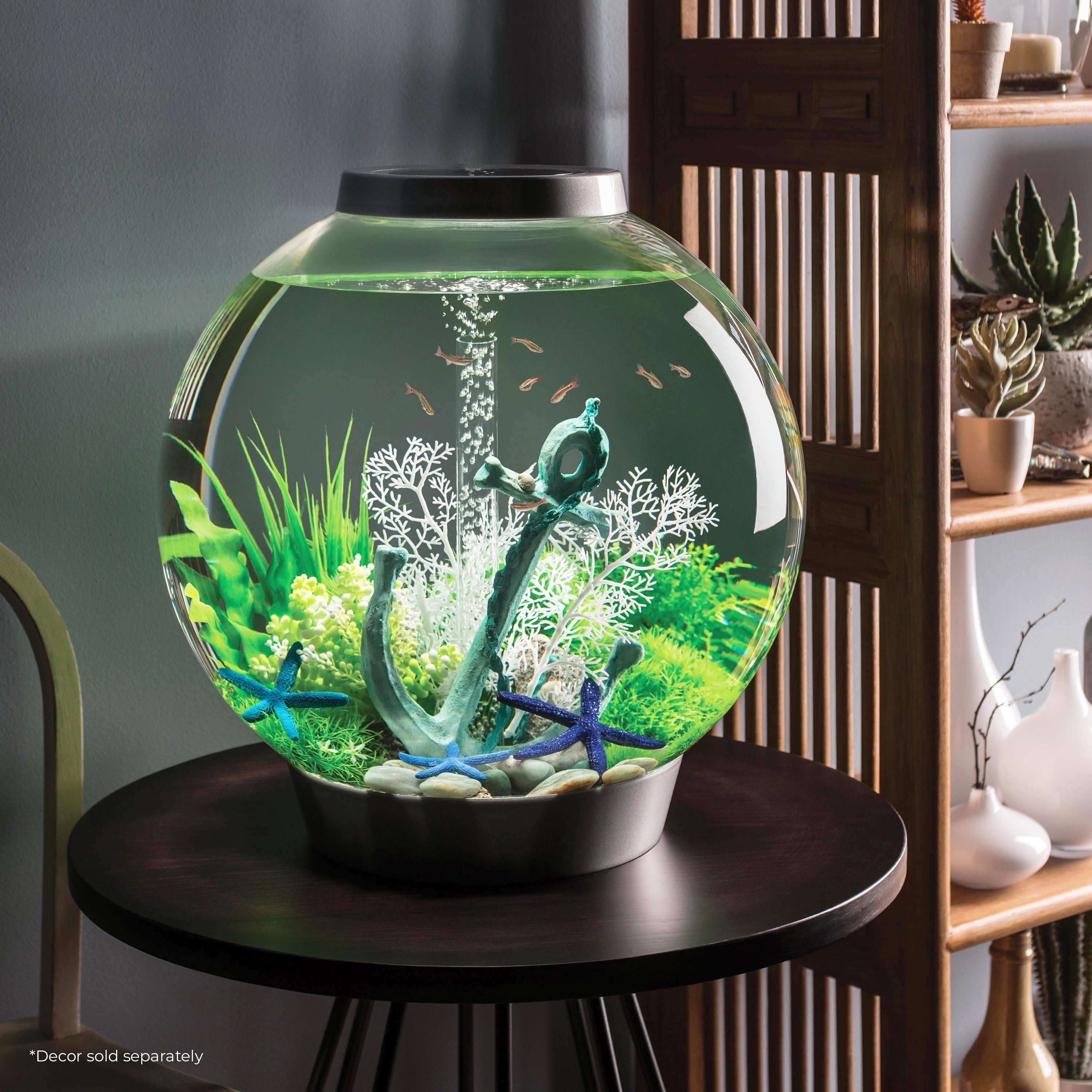 CLASSIC 60 Aquarium with Standard Light - 16 gallon - In use