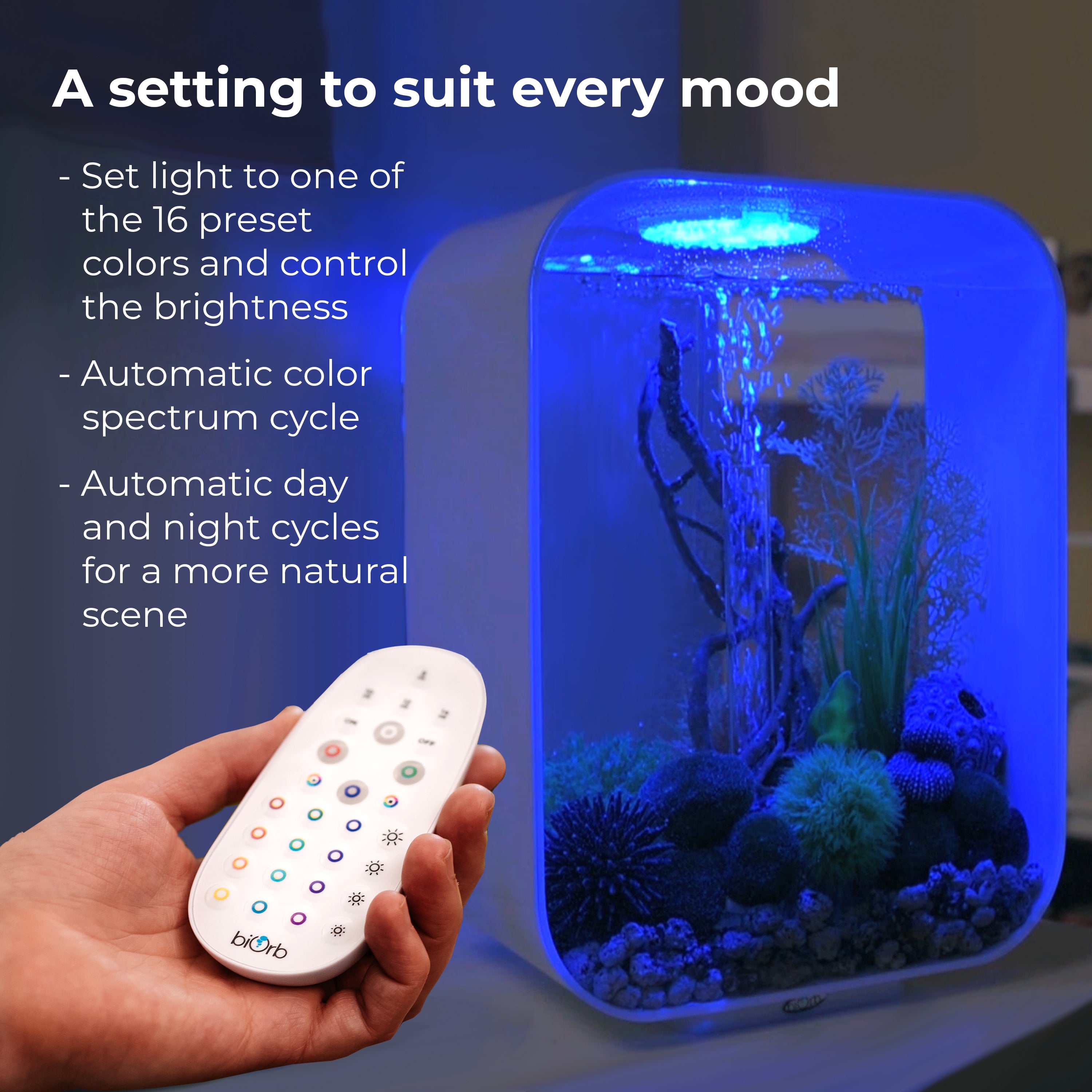 MCR LED Small Light Accessory - A setting to suit every mood