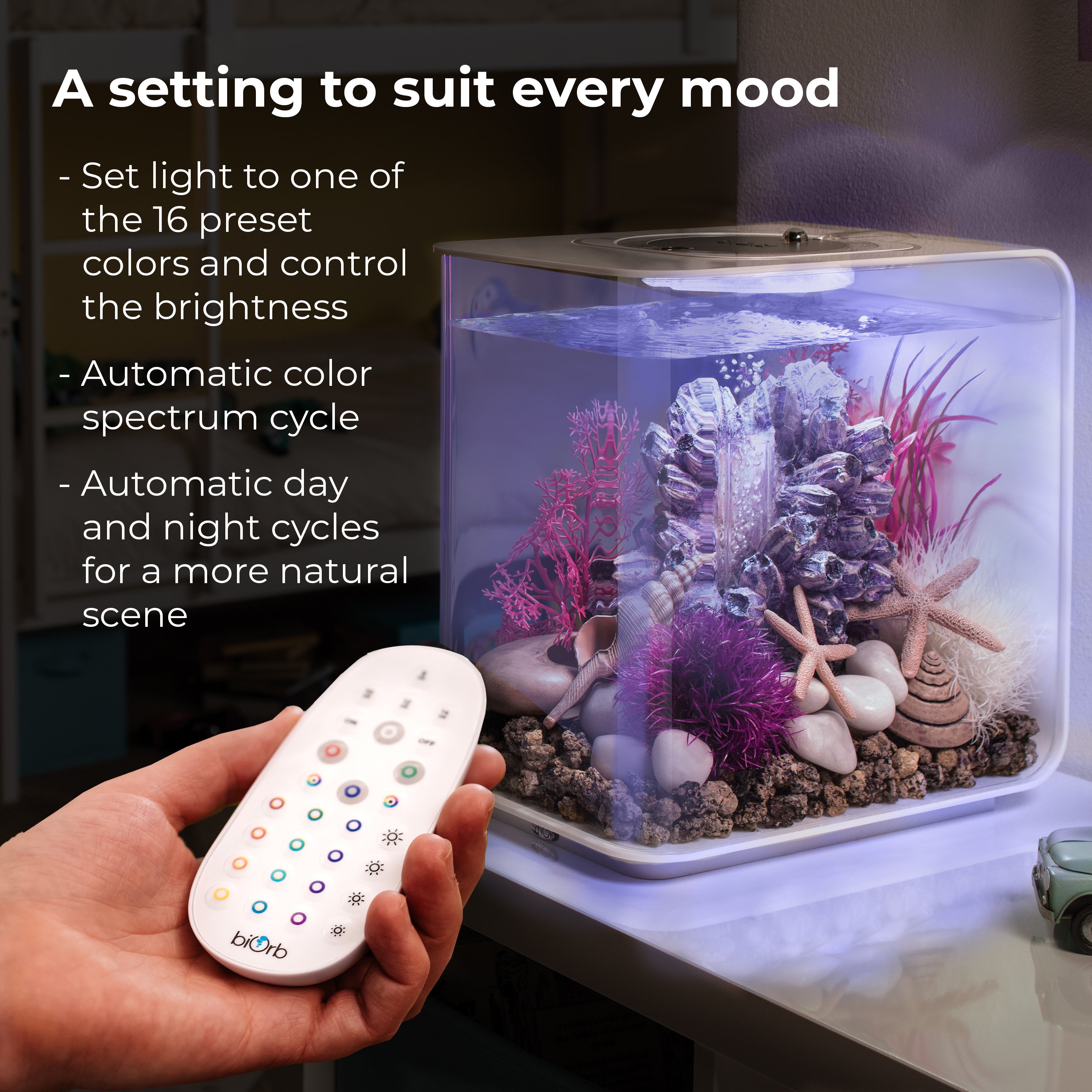 MCR LED Large Light Accessory - A setting to suit every mood