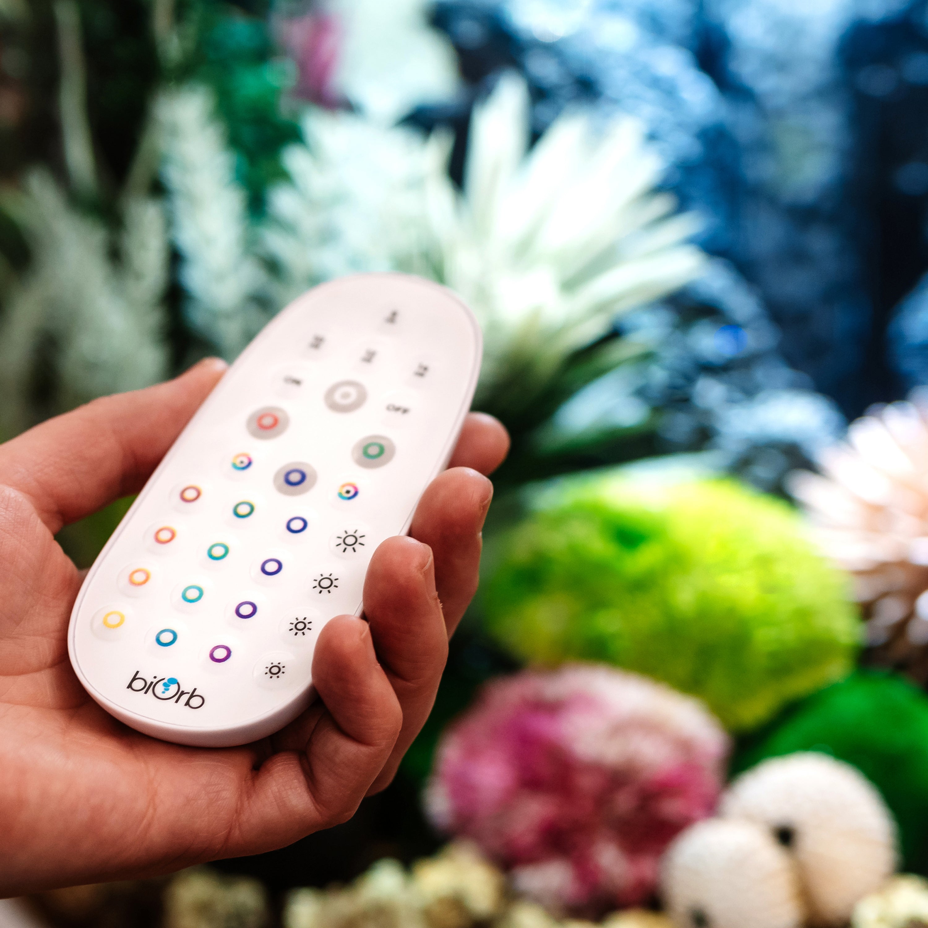 MCR LED Large Light Accessory - In use