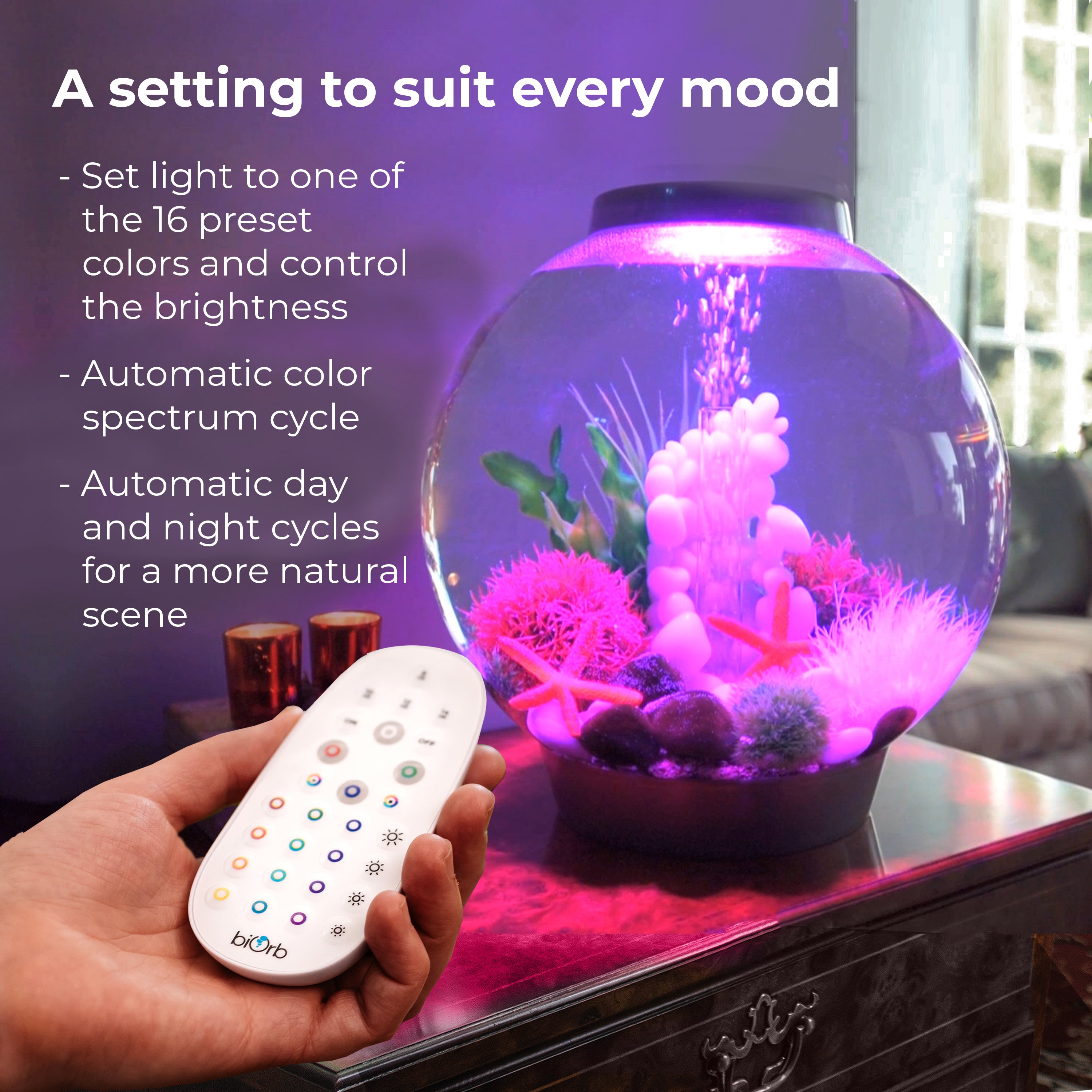 MCR LED Small Light Accessory - A setting to suit every mood