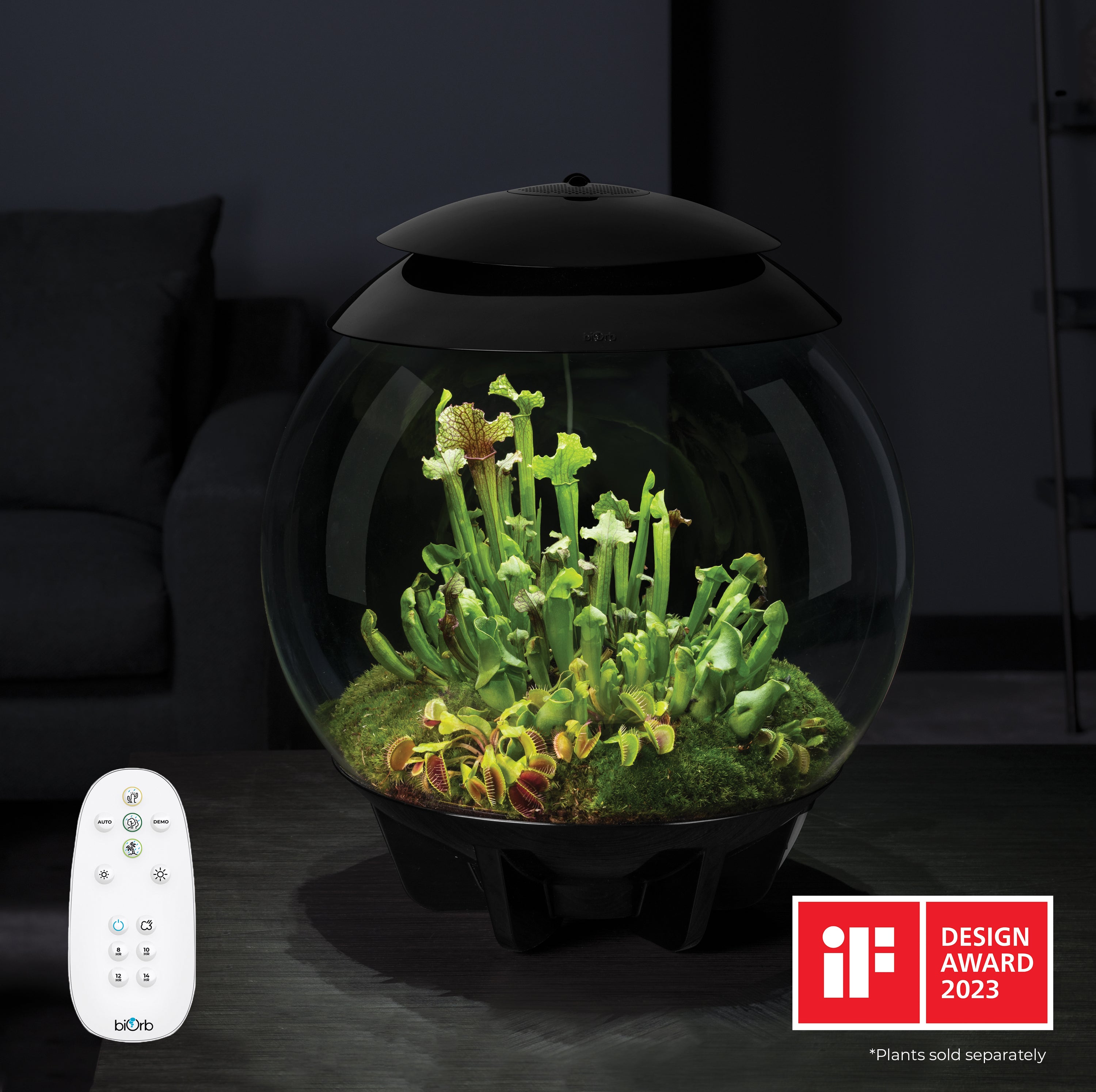 AIR 30 Terrarium black in use