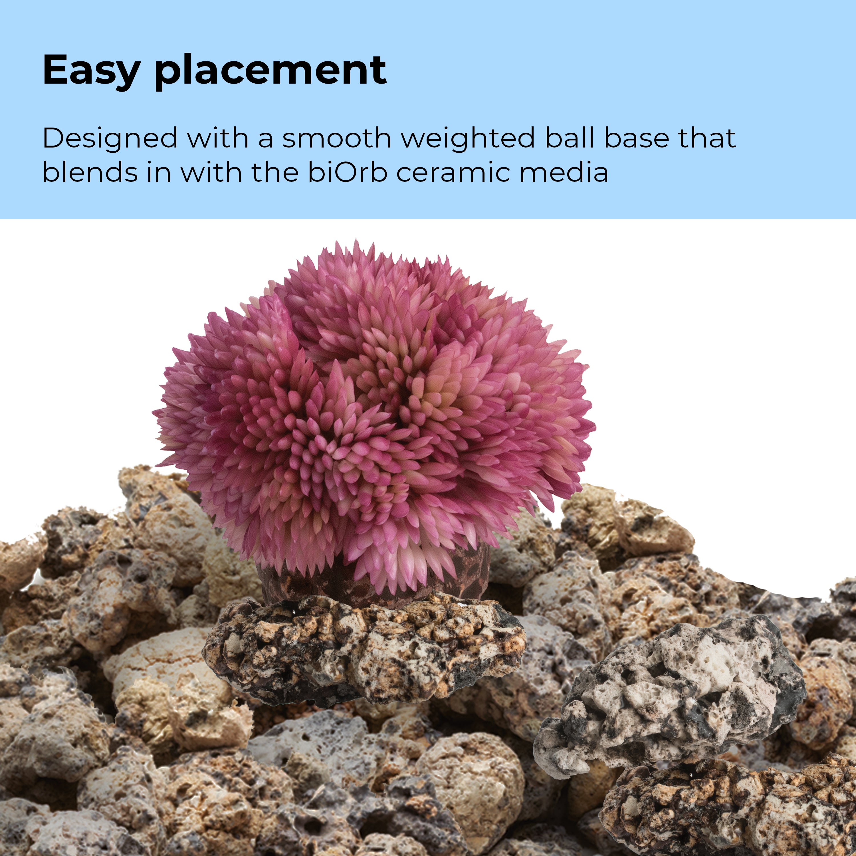 Coral Ball Set - Easy placement