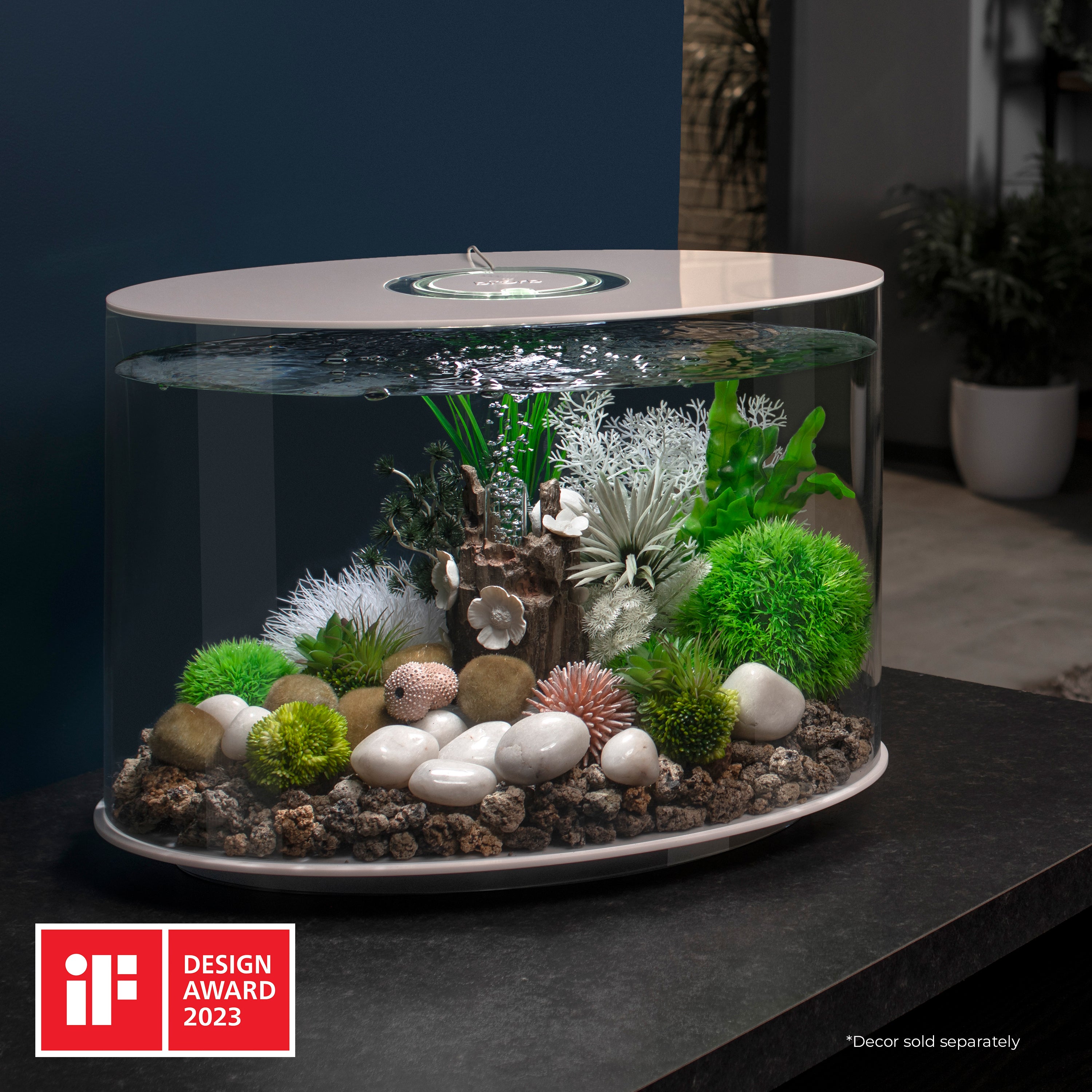 LOOP 30 Aquarium with Standard Light - 8 gallon In Use