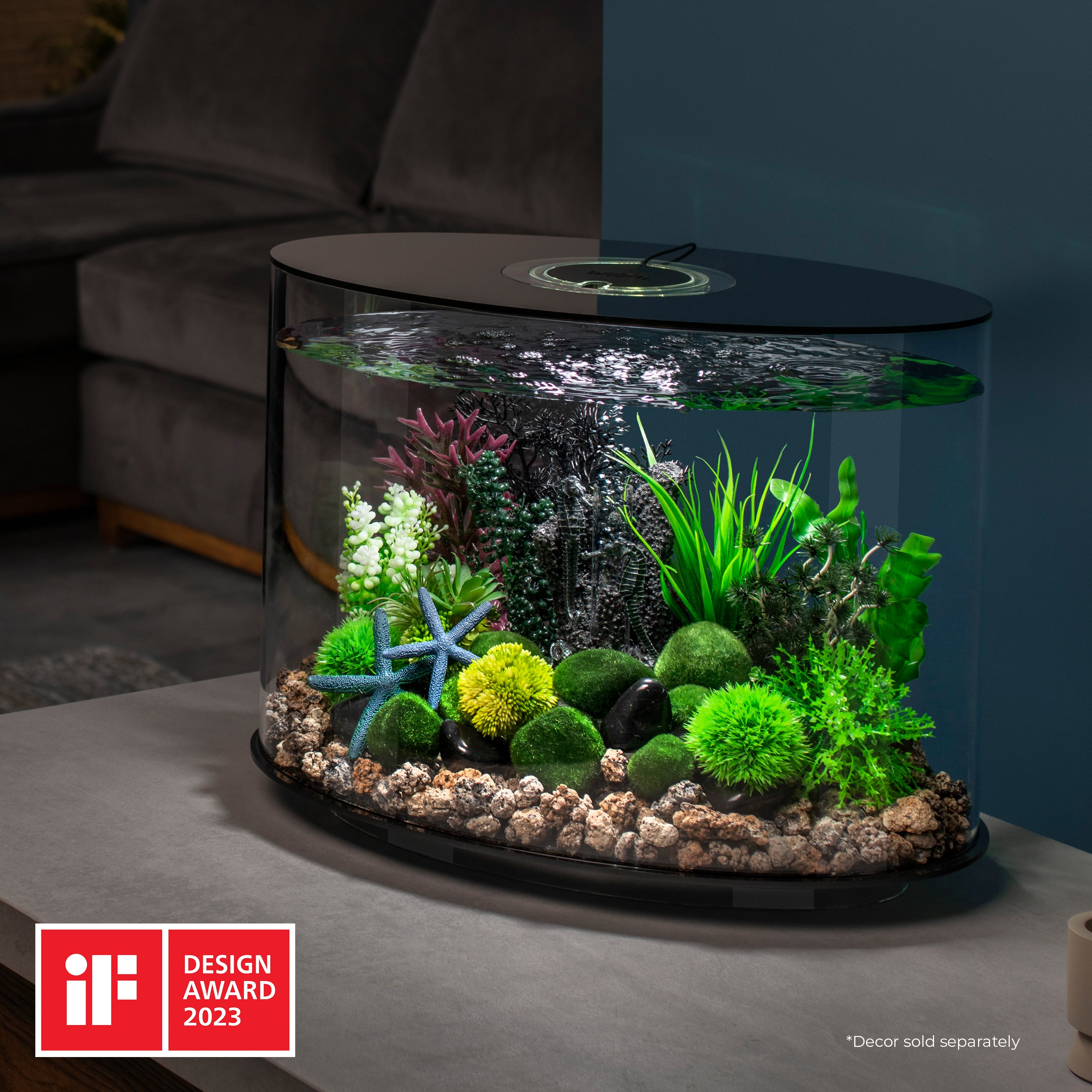 LOOP 30 Aquarium with Standard Light - 8 gallon In Use