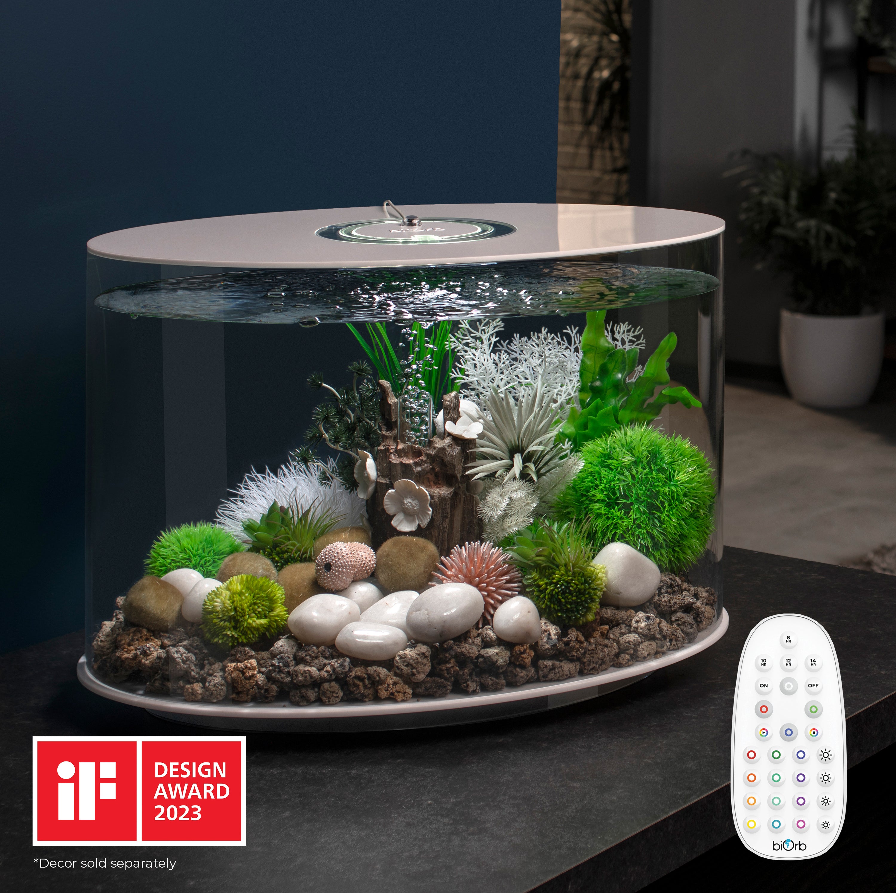 LOOP 30 Aquarium with MCR Light - 8 gallon In Use