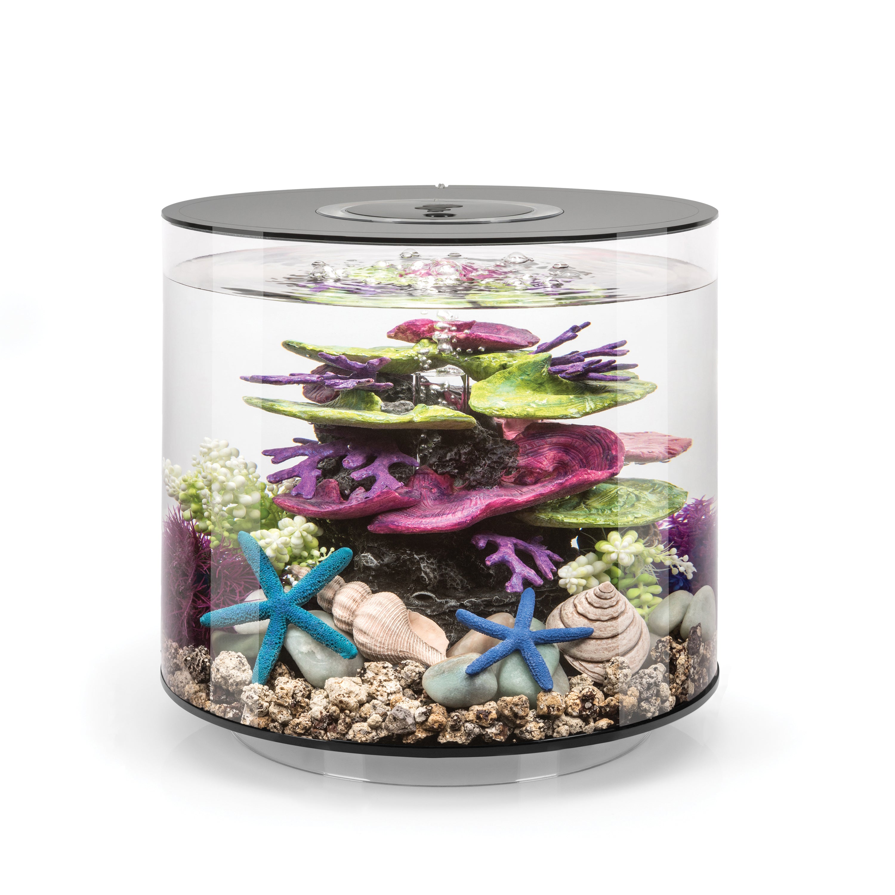 TUBE 15 Aquarium with Standard Light - 4 gallon