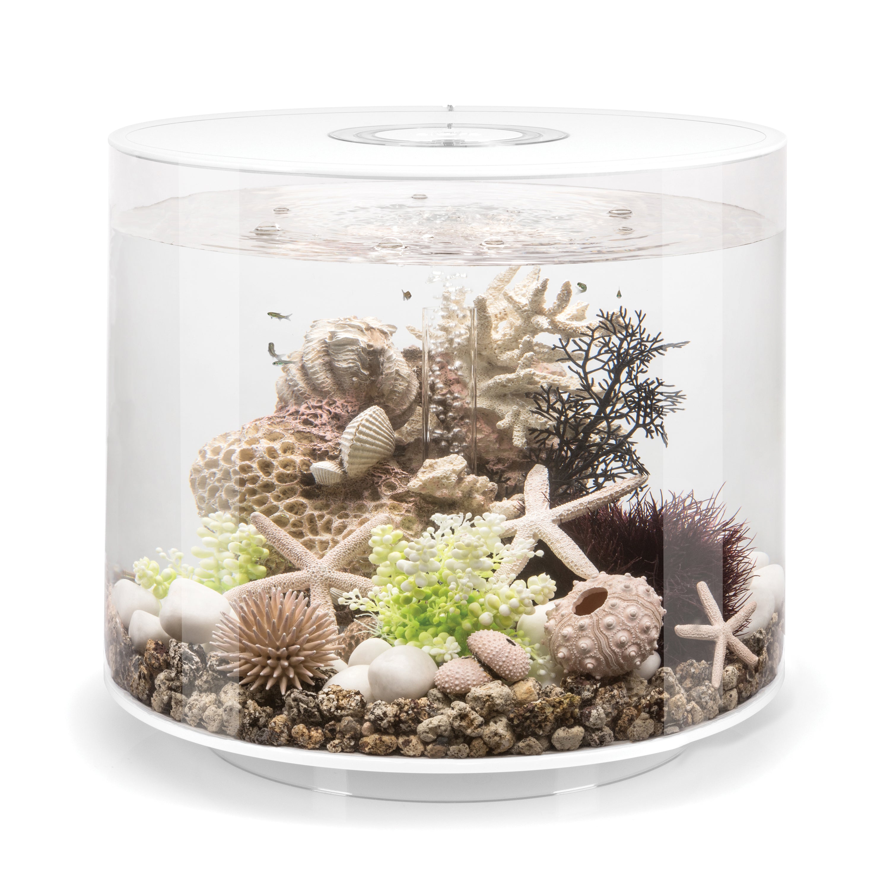 TUBE 35 Aquarium with Standard Light - 9.2 gallon