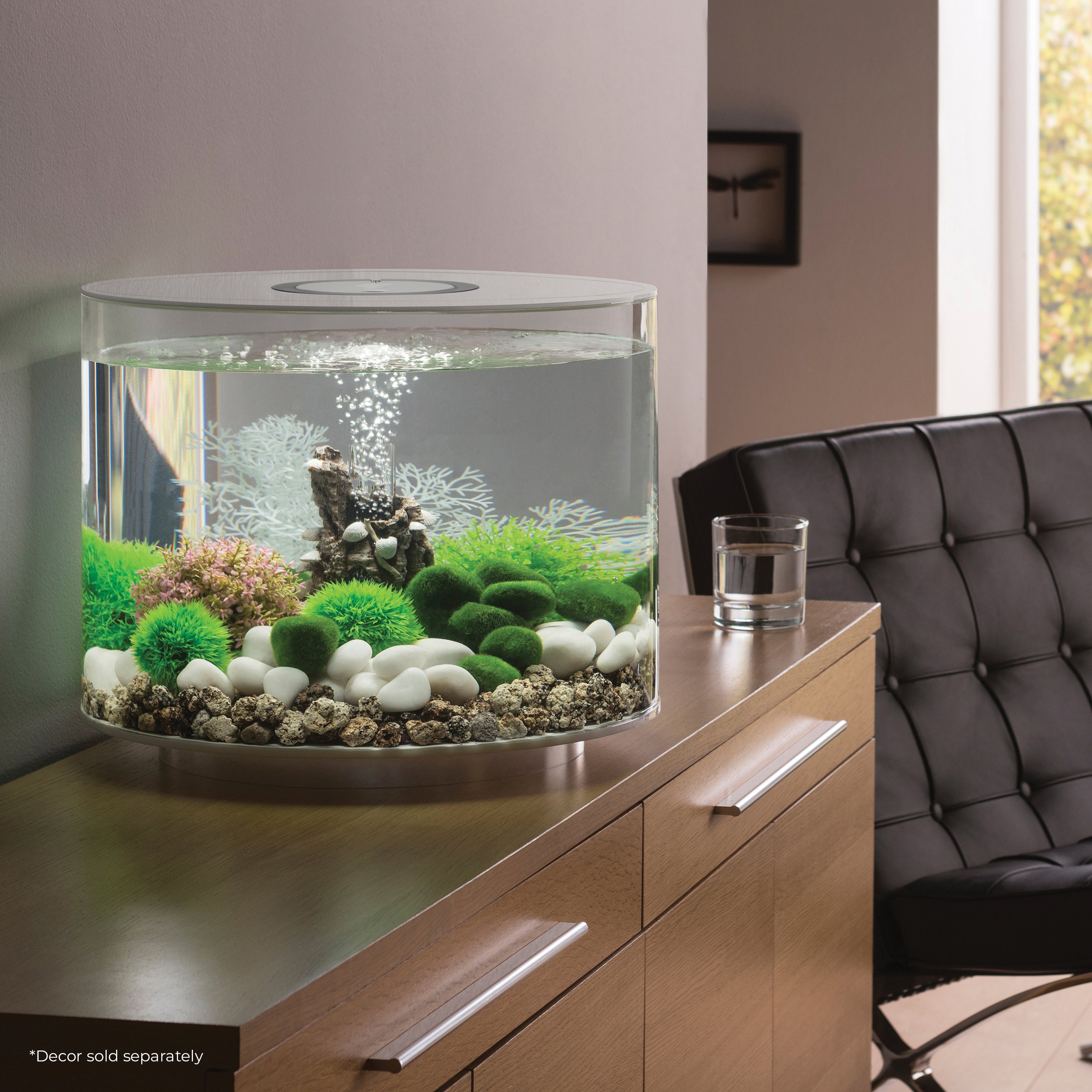 TUBE 35 Aquarium with Standard Light - 9.2 gallon In use