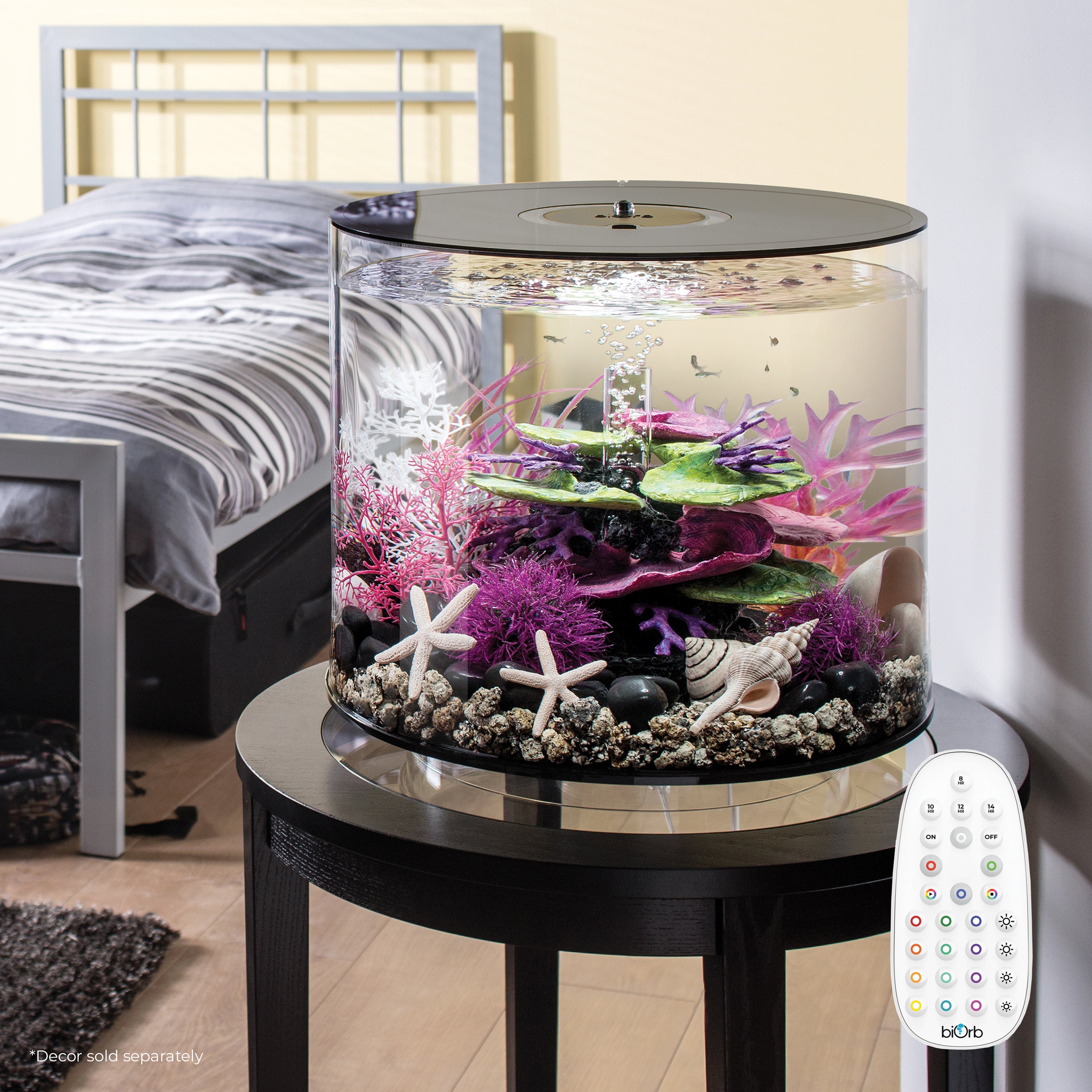 TUBE 35 Aquarium with MCR Light - 9.2 gallon in use
