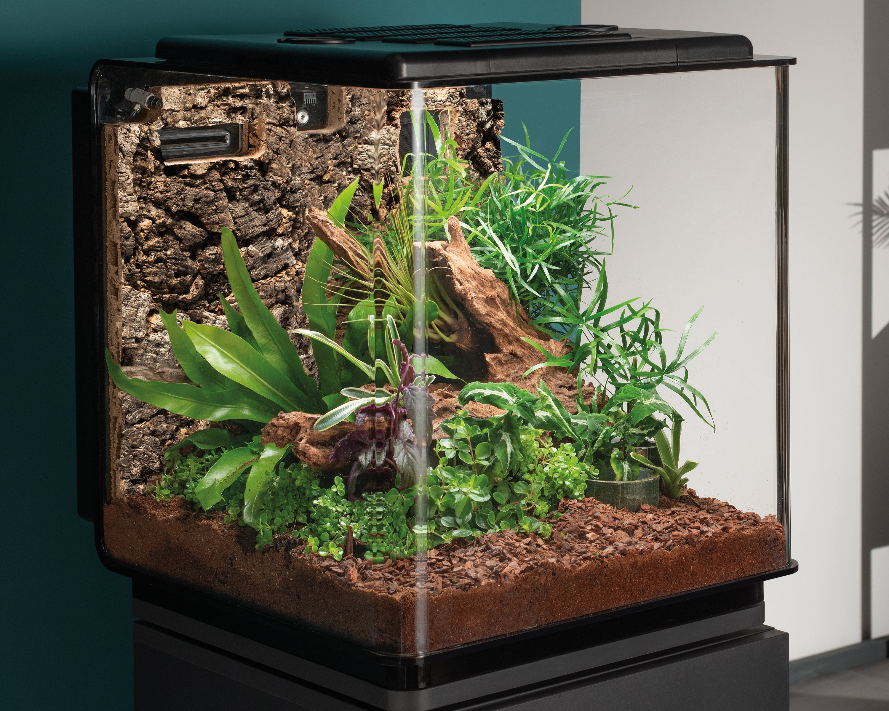EARTH 125 Backwall Set in Dark Oak In Use