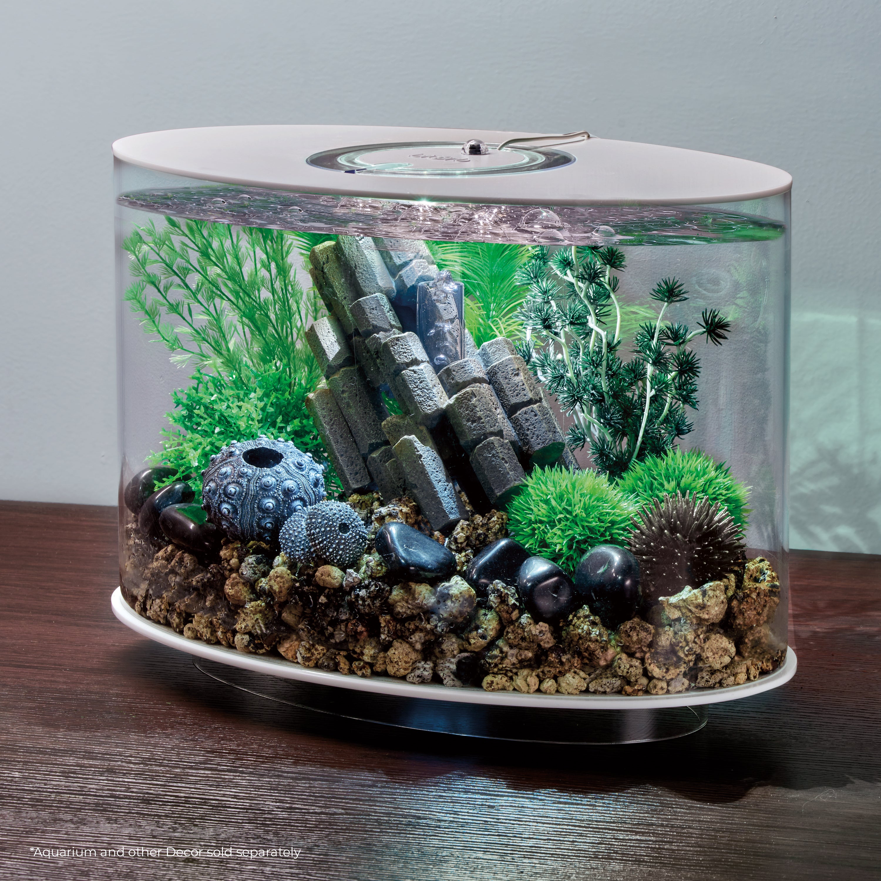 Volcanic Stone Sculpture inside a LOOP aquarium