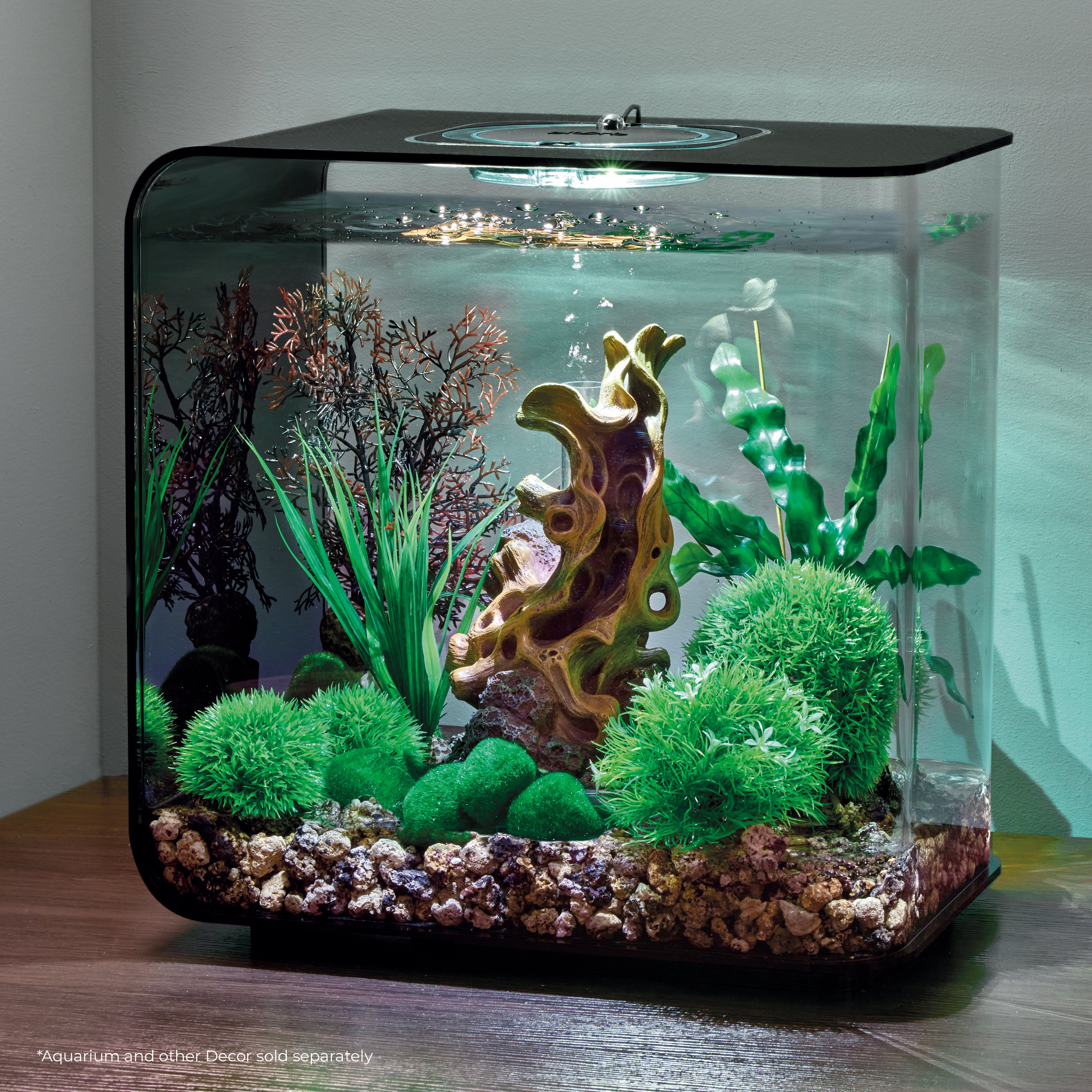 Wood on Stone Sculpture inside a FLOW aquarium