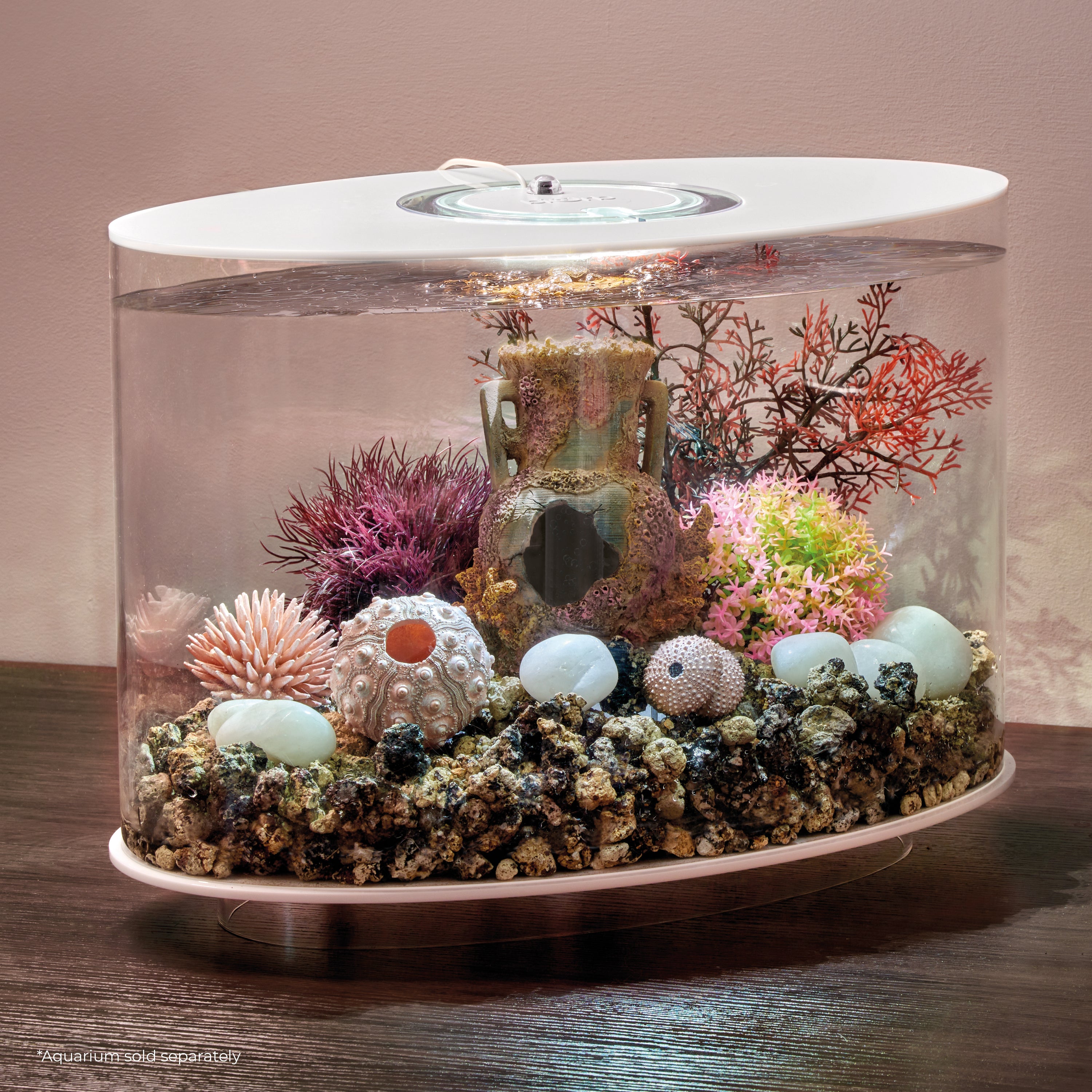 Lost Vase Décor Set inside a LOOP aquarium