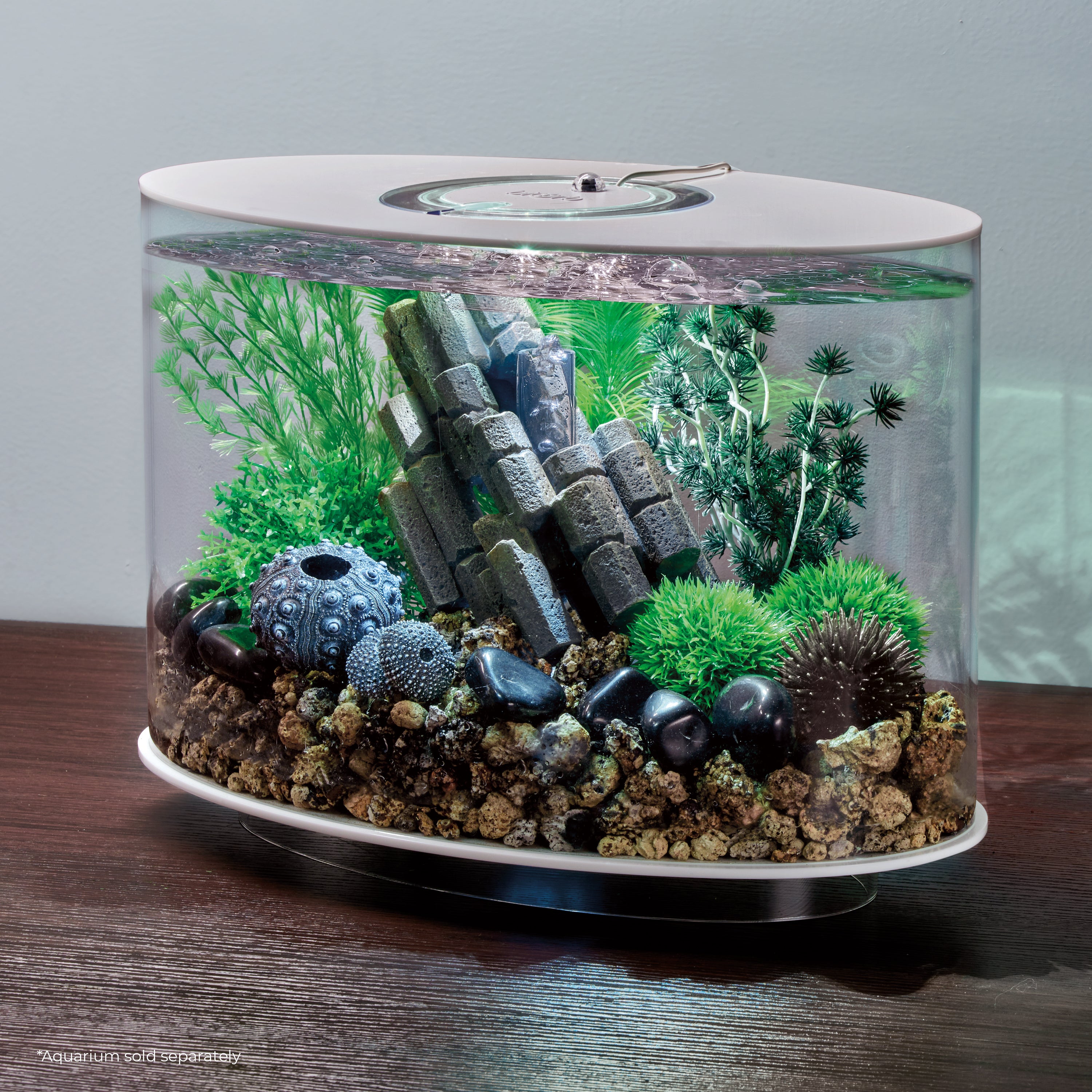 Volcanic Décor Set inside a LOOP aquarium