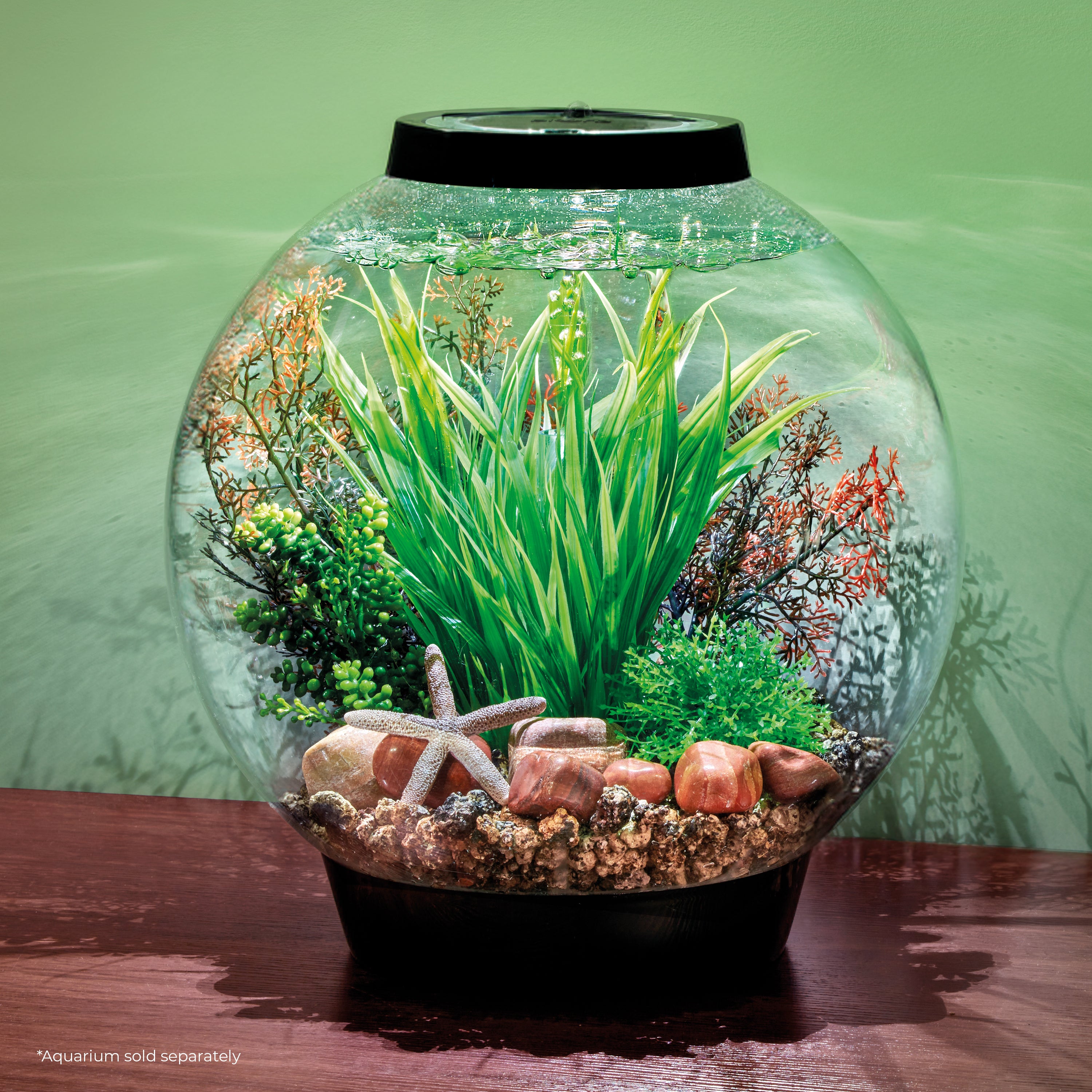 Palau Décor Set inside a CLASSIC aquarium