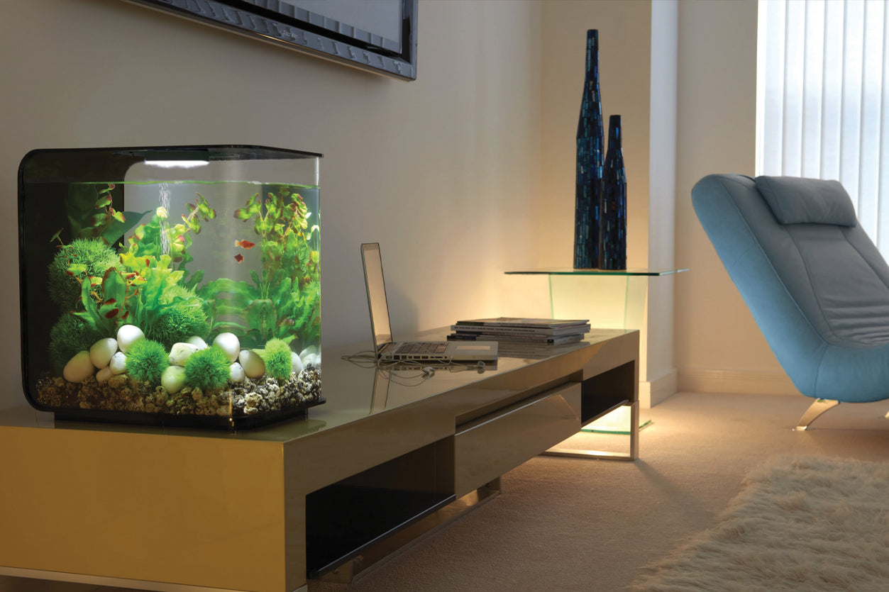 A calming living room space highlighted by a biOrb FLOW Aquarium.