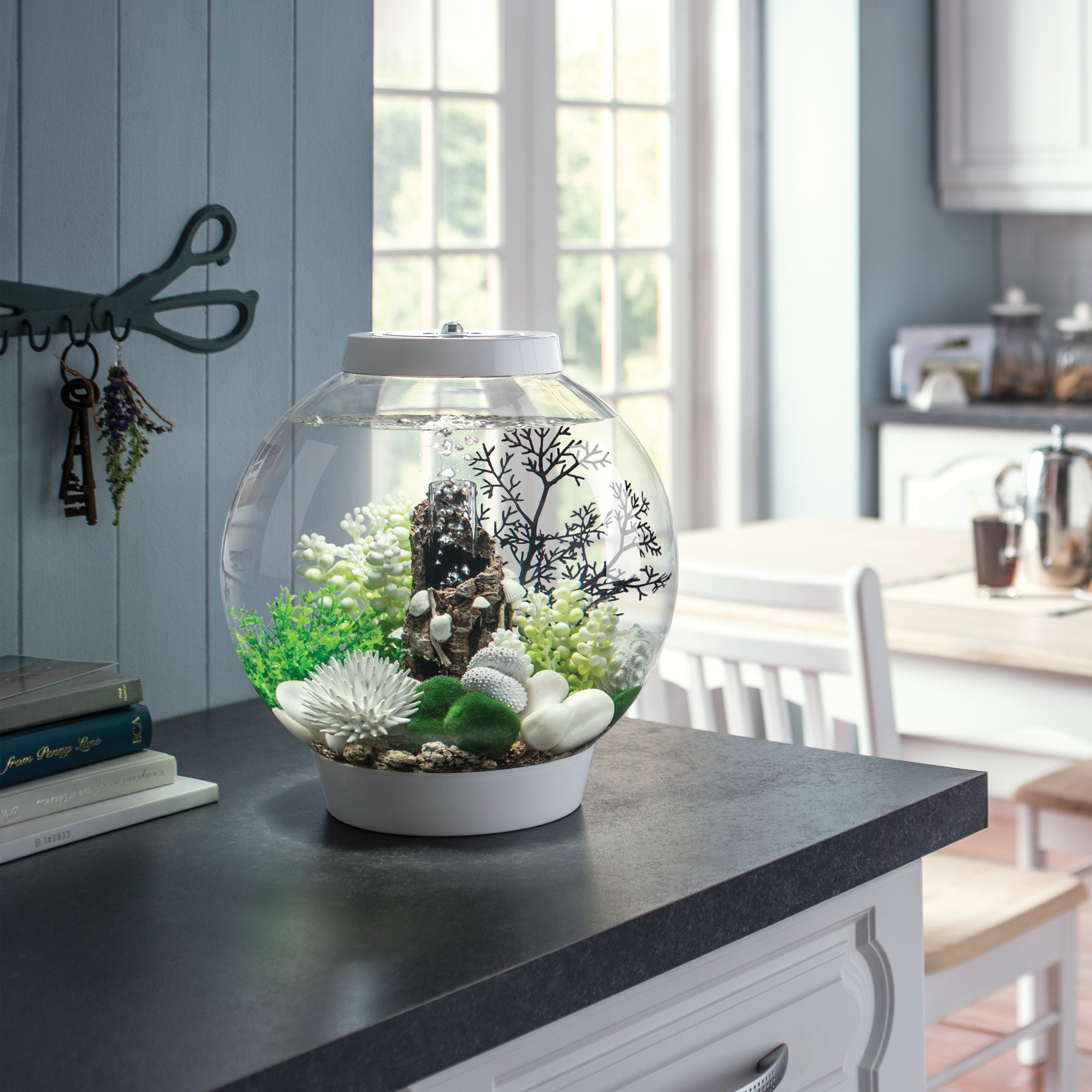 Get inspiration for your aquarium design by using the biOrb CLASSIC 15 Aquarium