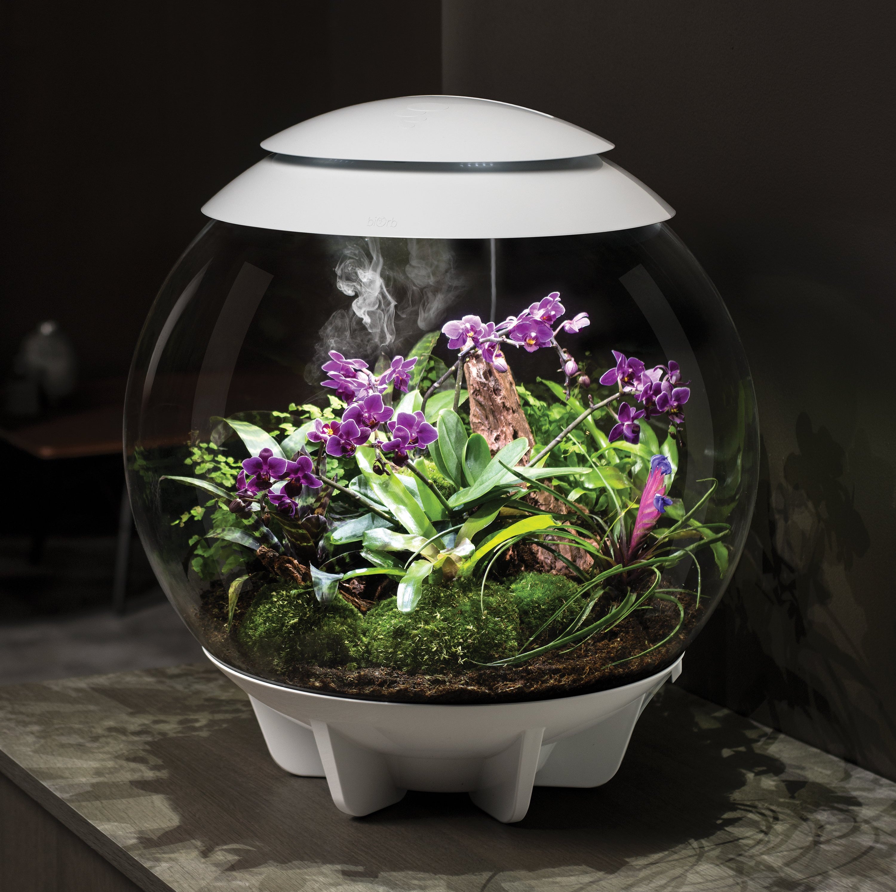 The biOrb AIR terrarium is a fully-automated 360-degree terrarium that replicates the natural conditions found under the tropical forest canopy