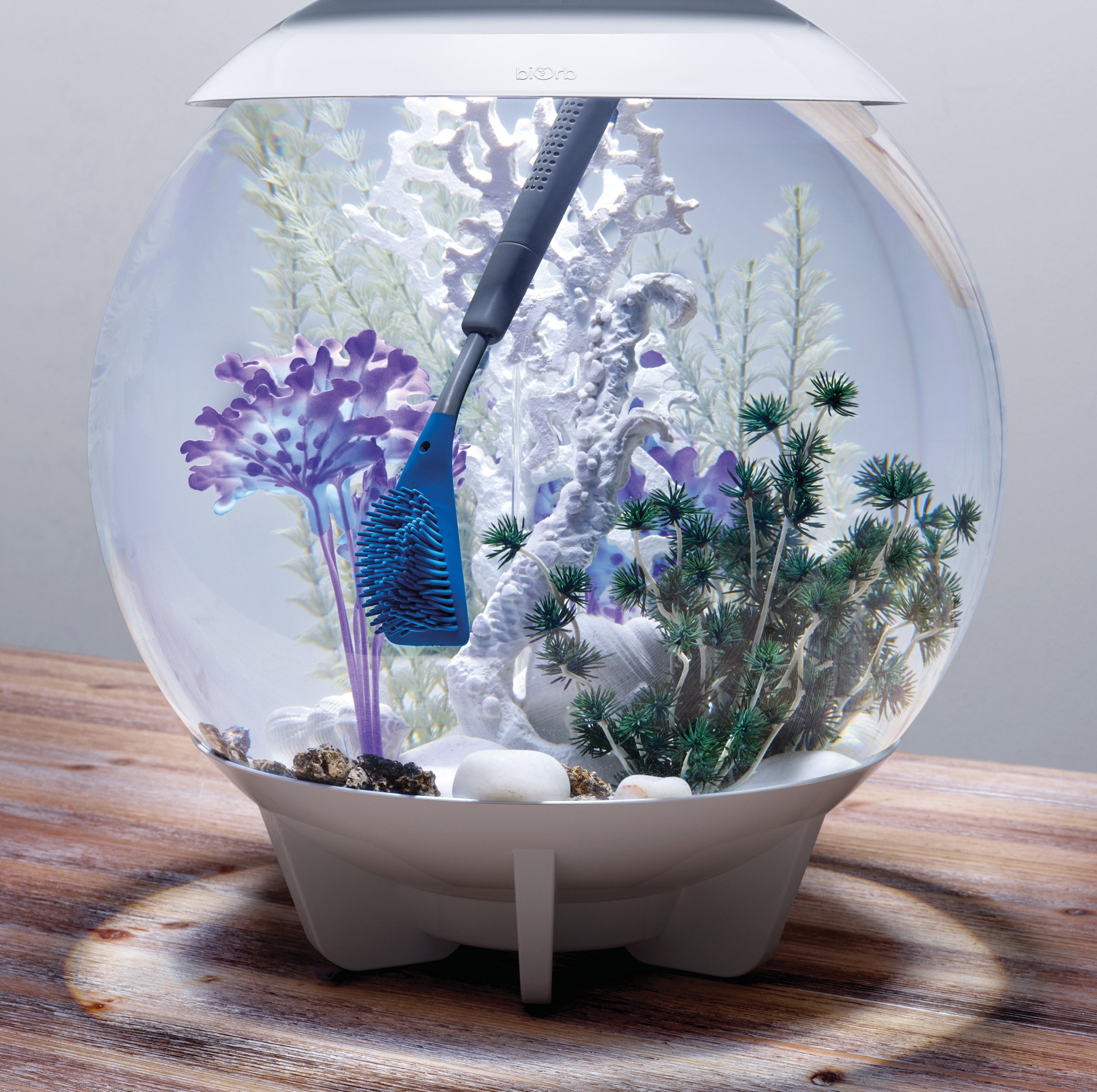Cleaning a round shaped biOrb aquarium