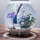 Cleaning a round shaped biOrb aquarium