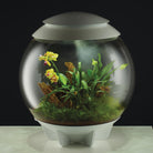 Humidimist 5L in Use