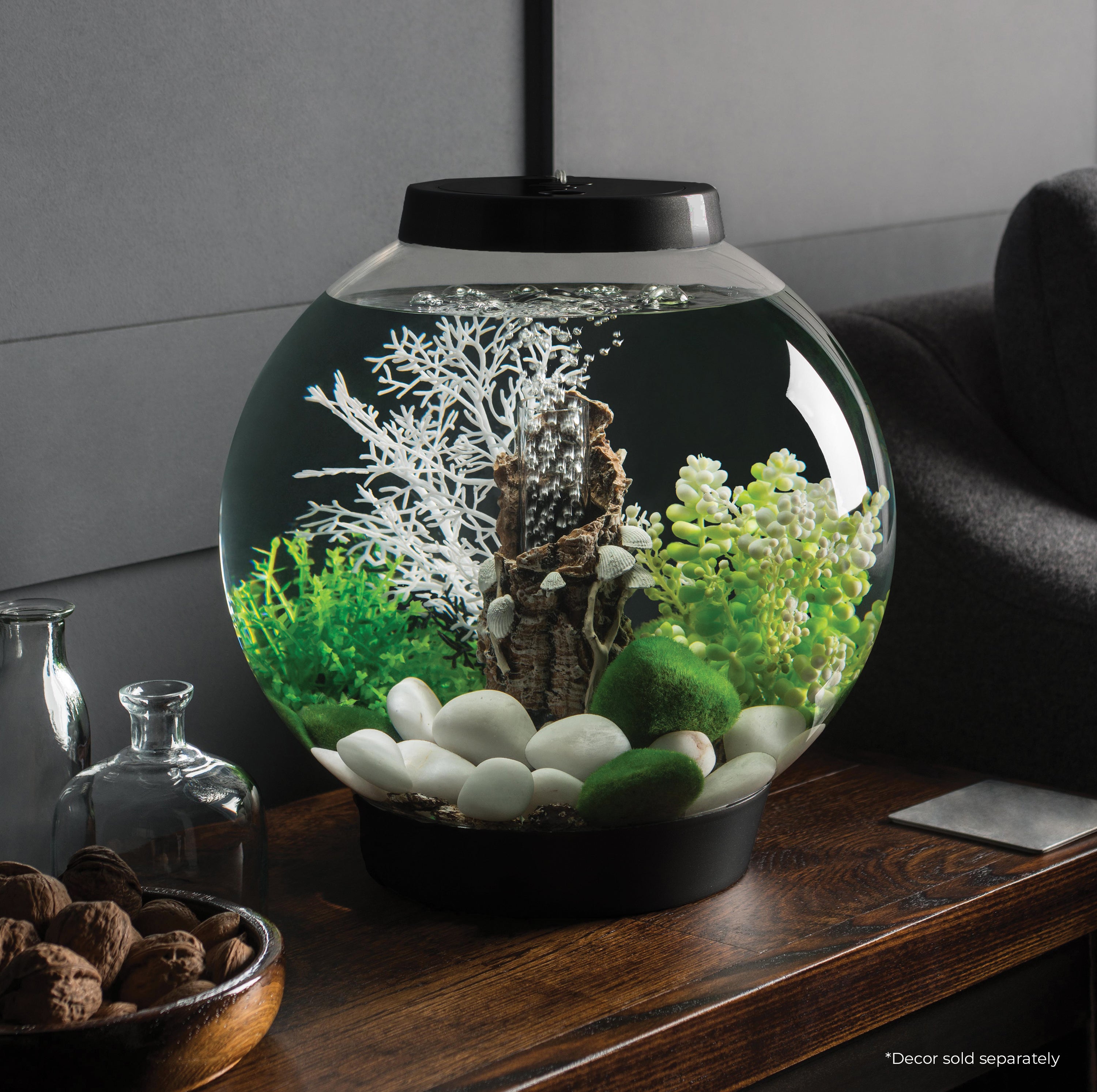 CLASSIC 15 Aquarium with Standard Light - 4 gallon in Use