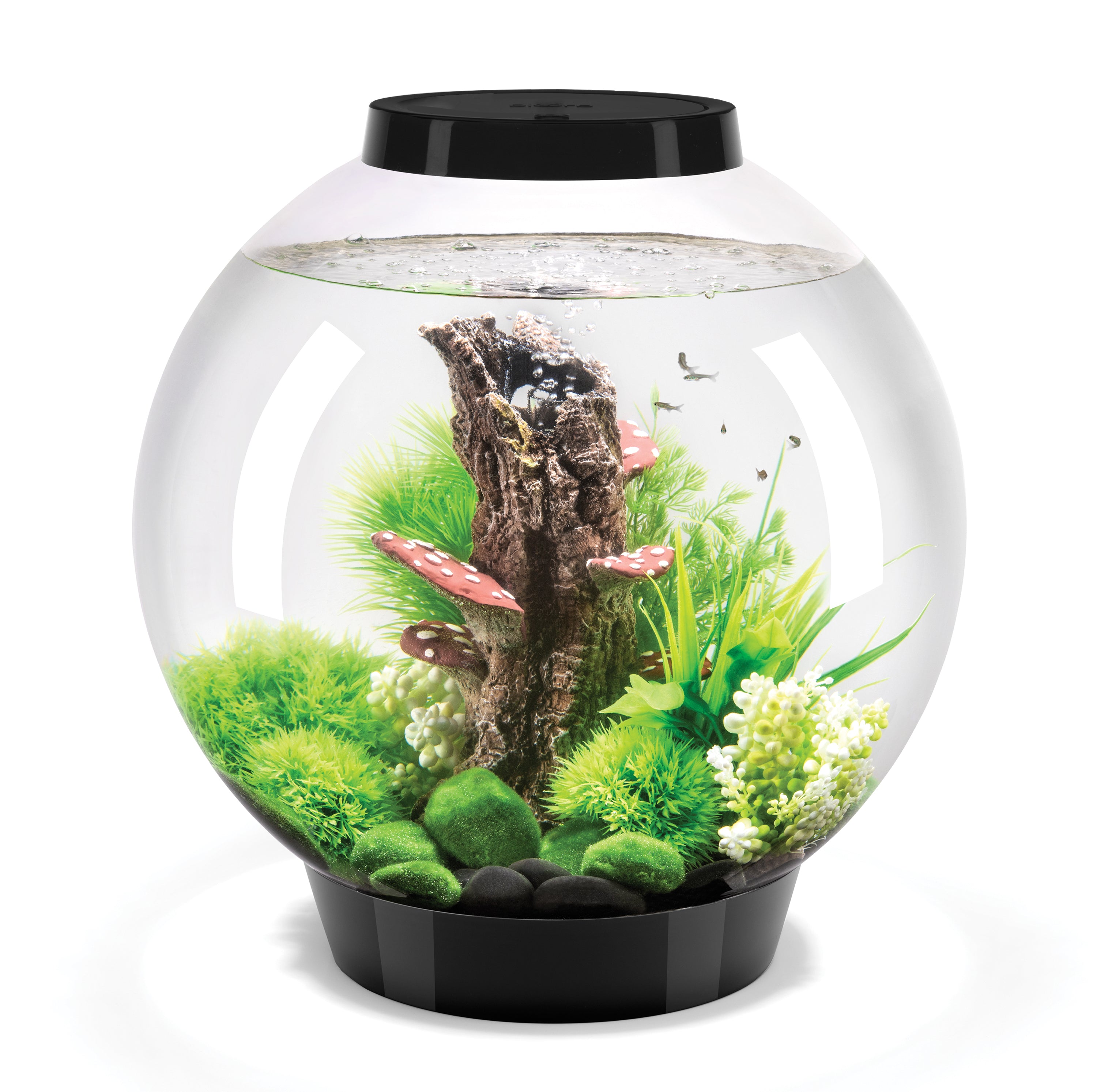 CLASSIC 30 Aquarium with Standard Light - 8 gallon available in Black