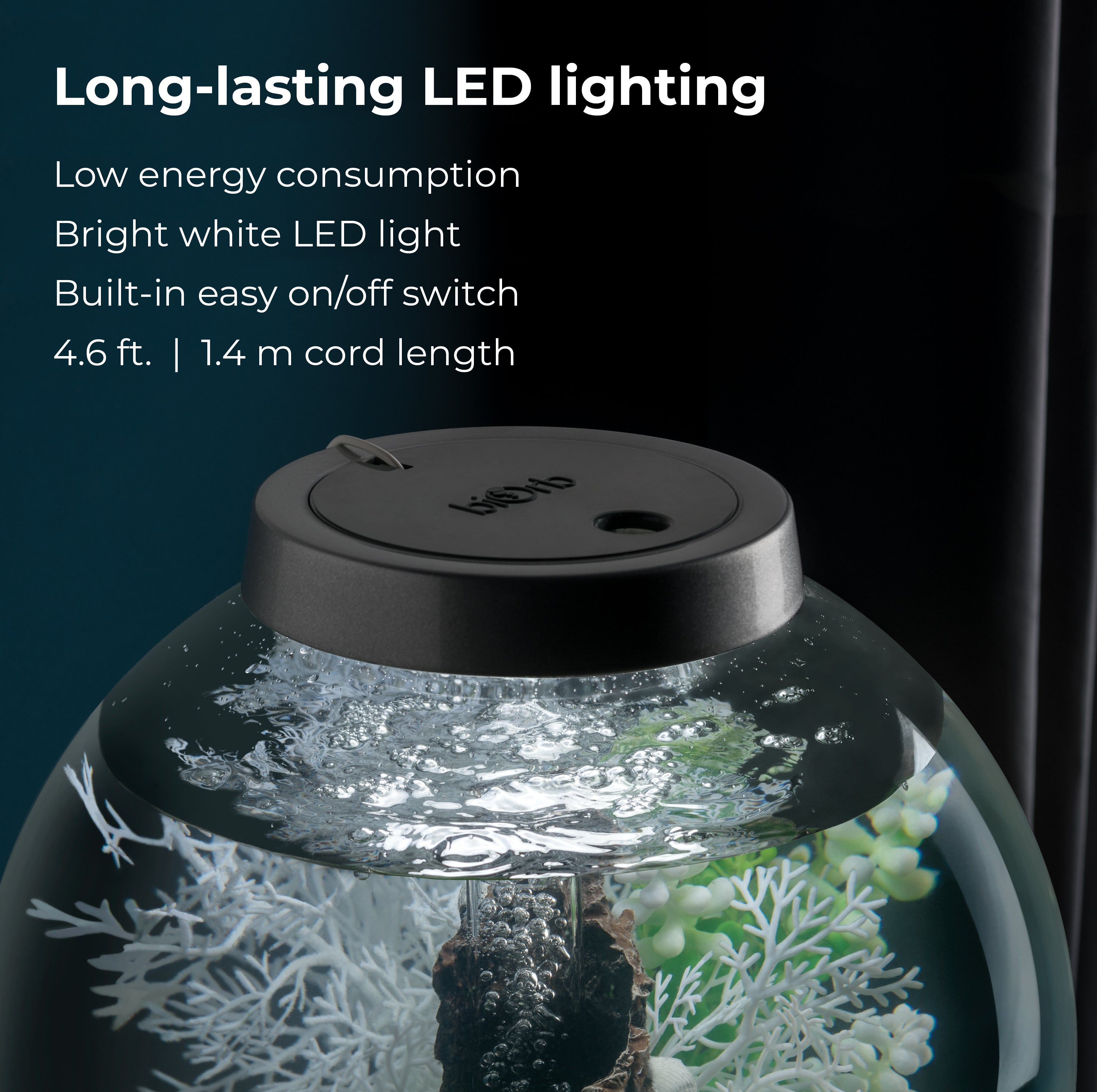 CLASSIC 30 Aquarium with Standard Light - 8 gallon features Long-lasting LED lighting
