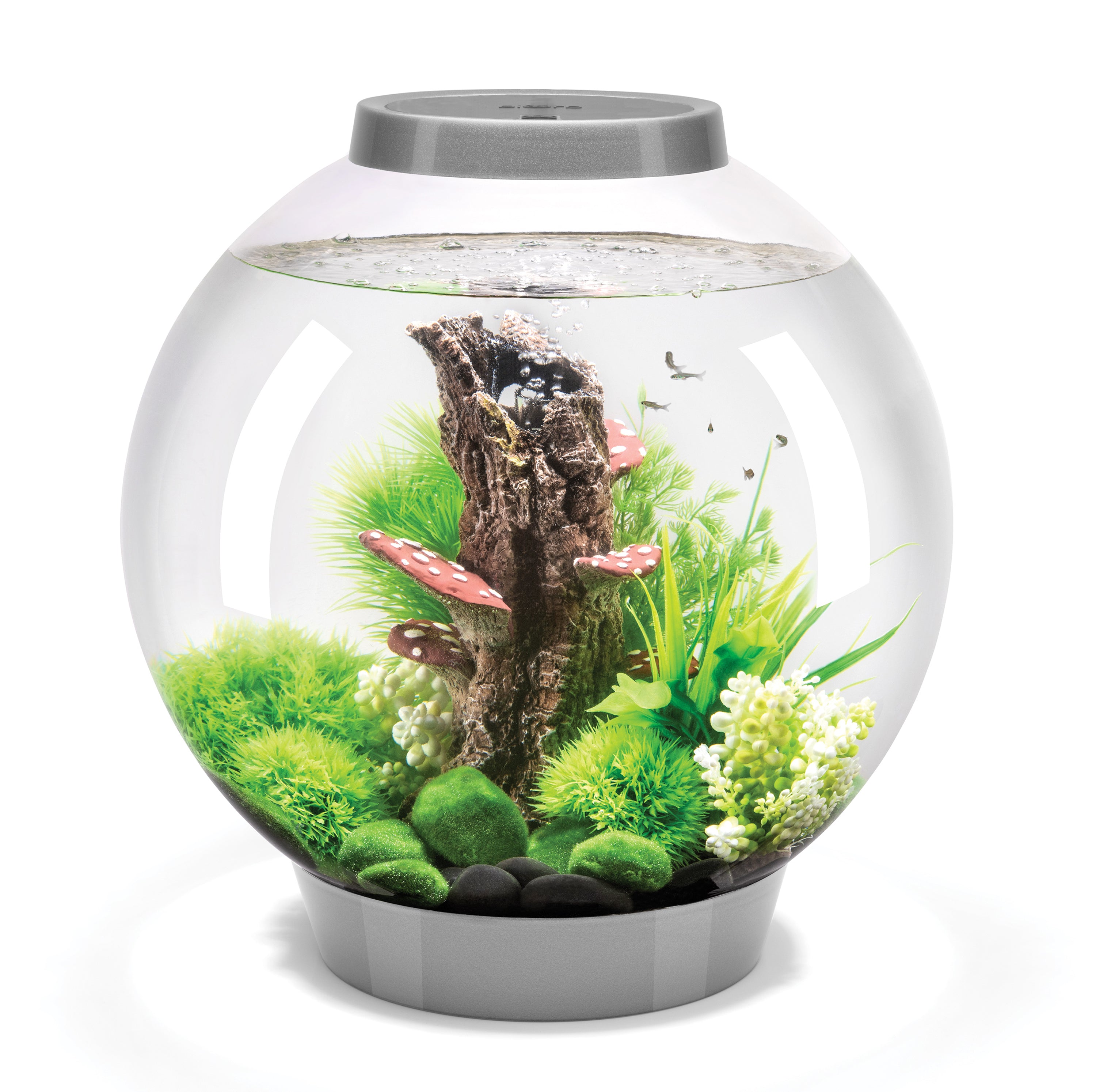 CLASSIC 30 Aquarium with Standard Light - 8 gallon avaiable in silver