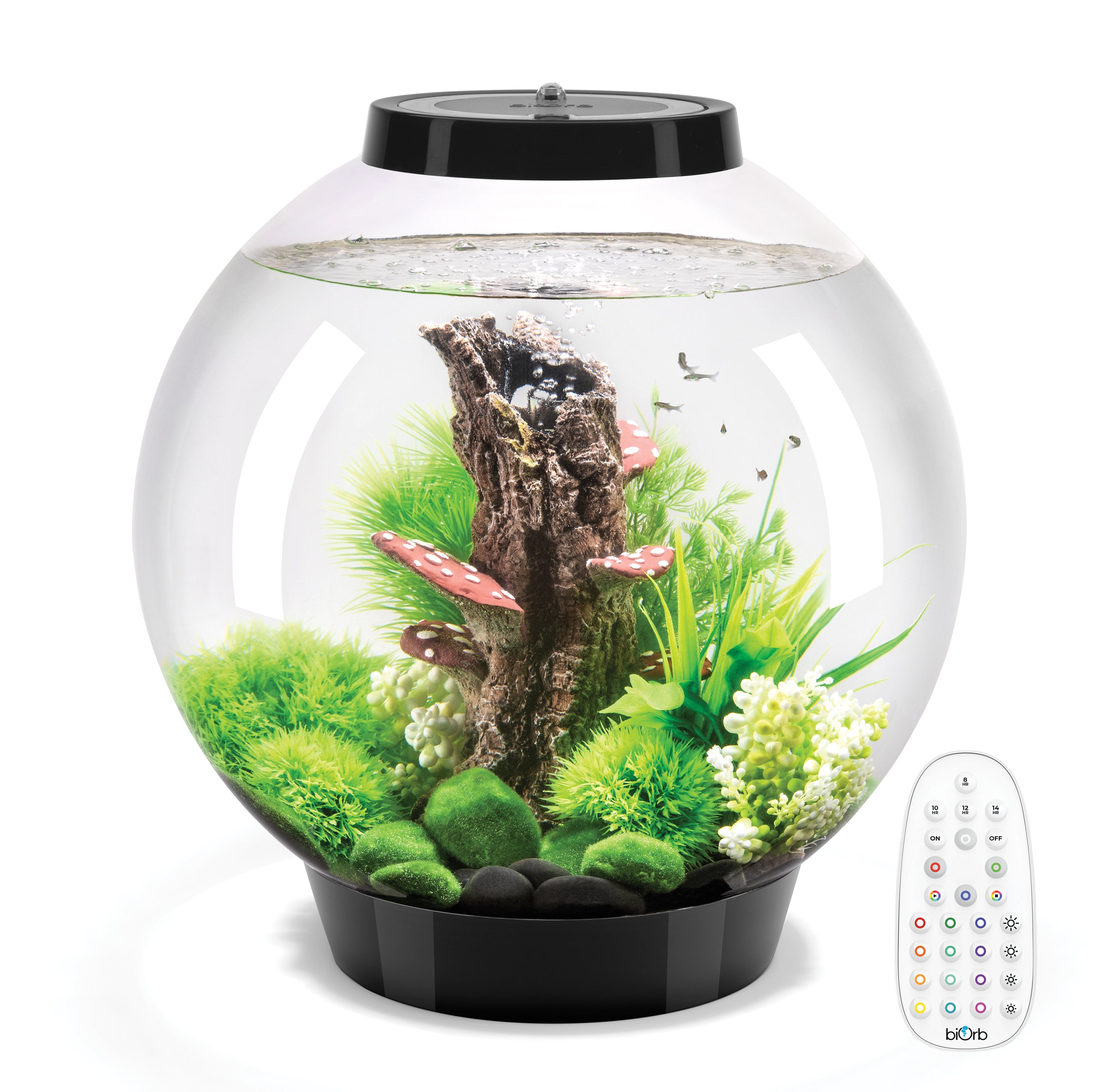 CLASSIC 30 Aquarium with MCR Light - 8 gallon is available in black