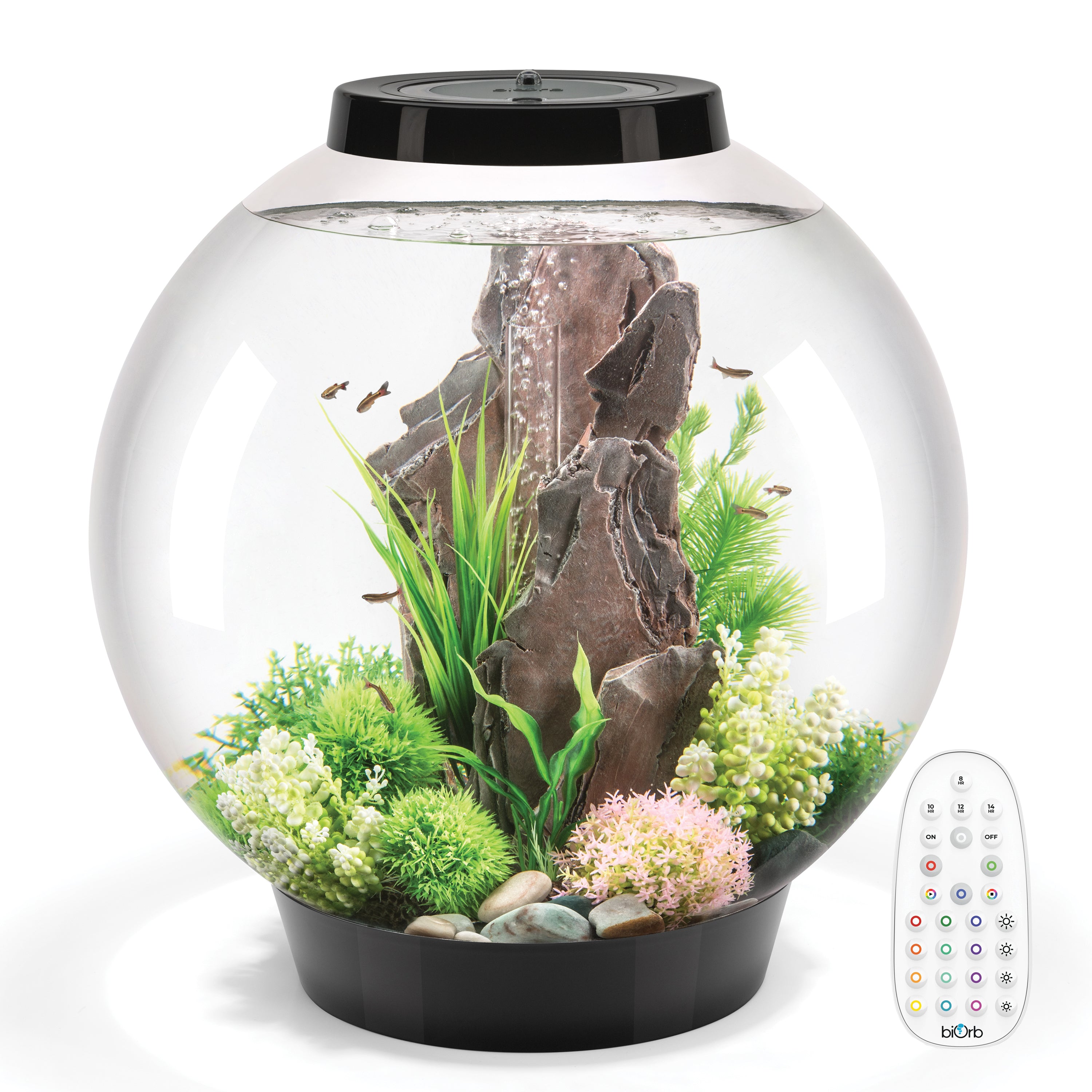 CLASSIC 60 Aquarium with MCR Light - 16 gallon is available in black