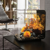 Get inspiration for your aquarium FLOW 30 Aquarium with Standard Light - 8 gallon available in black