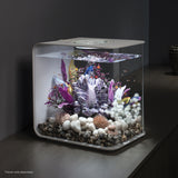 Get inspiration for your aquarium FLOW 30 Aquarium with Standard Light - 8 gallon available in white