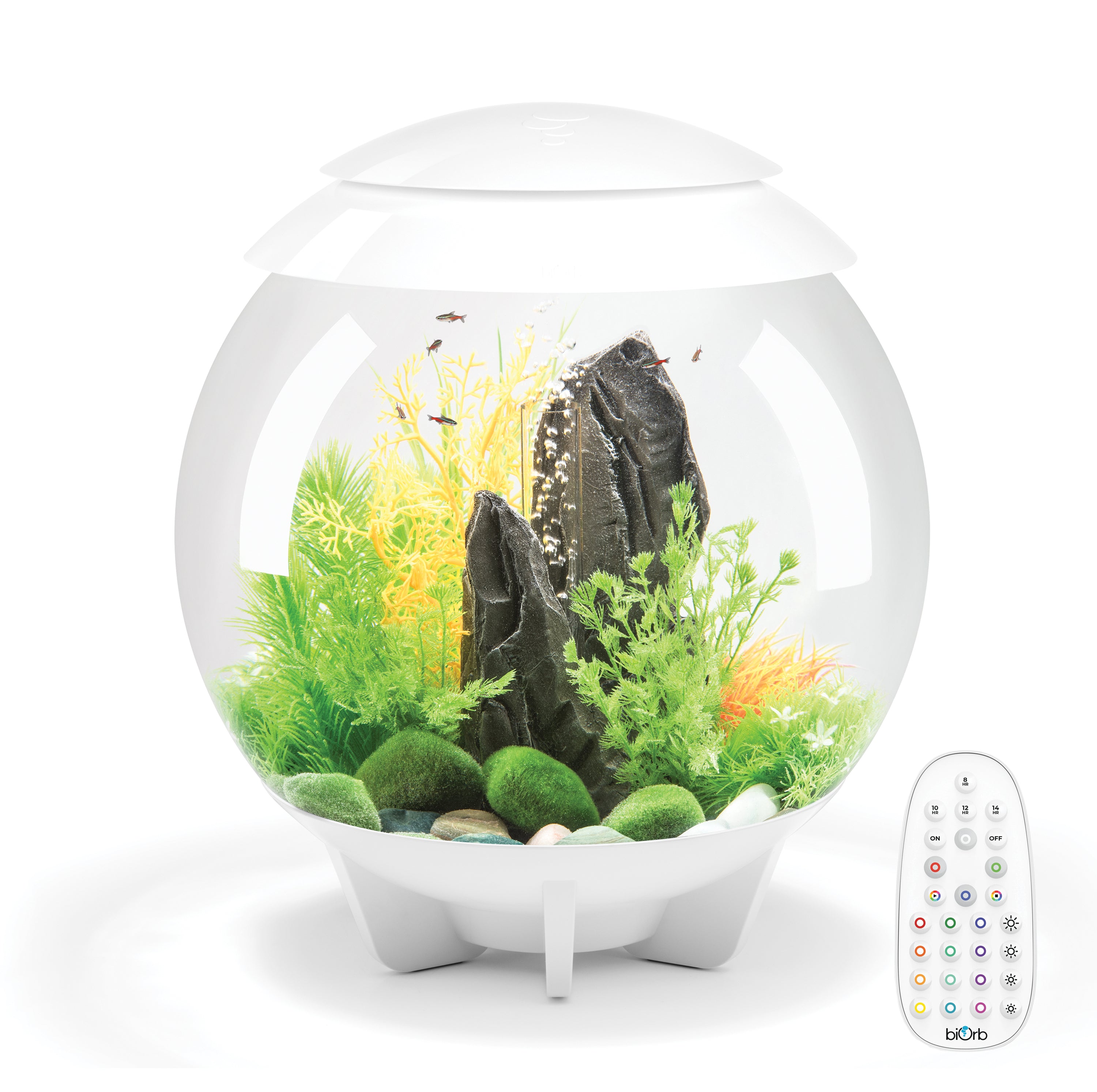 HALO 30 Aquarium with MCR Light - 8 gallon available in white